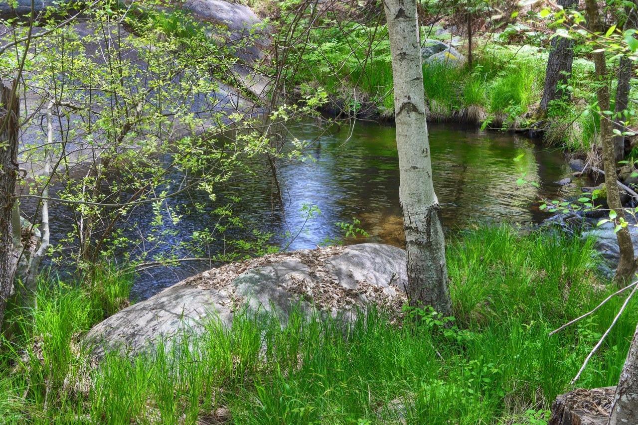 Mariposa, California, 95338, United States, 3 Bedrooms Bedrooms, ,3 BathroomsBathrooms,Residential,For Sale,1988847