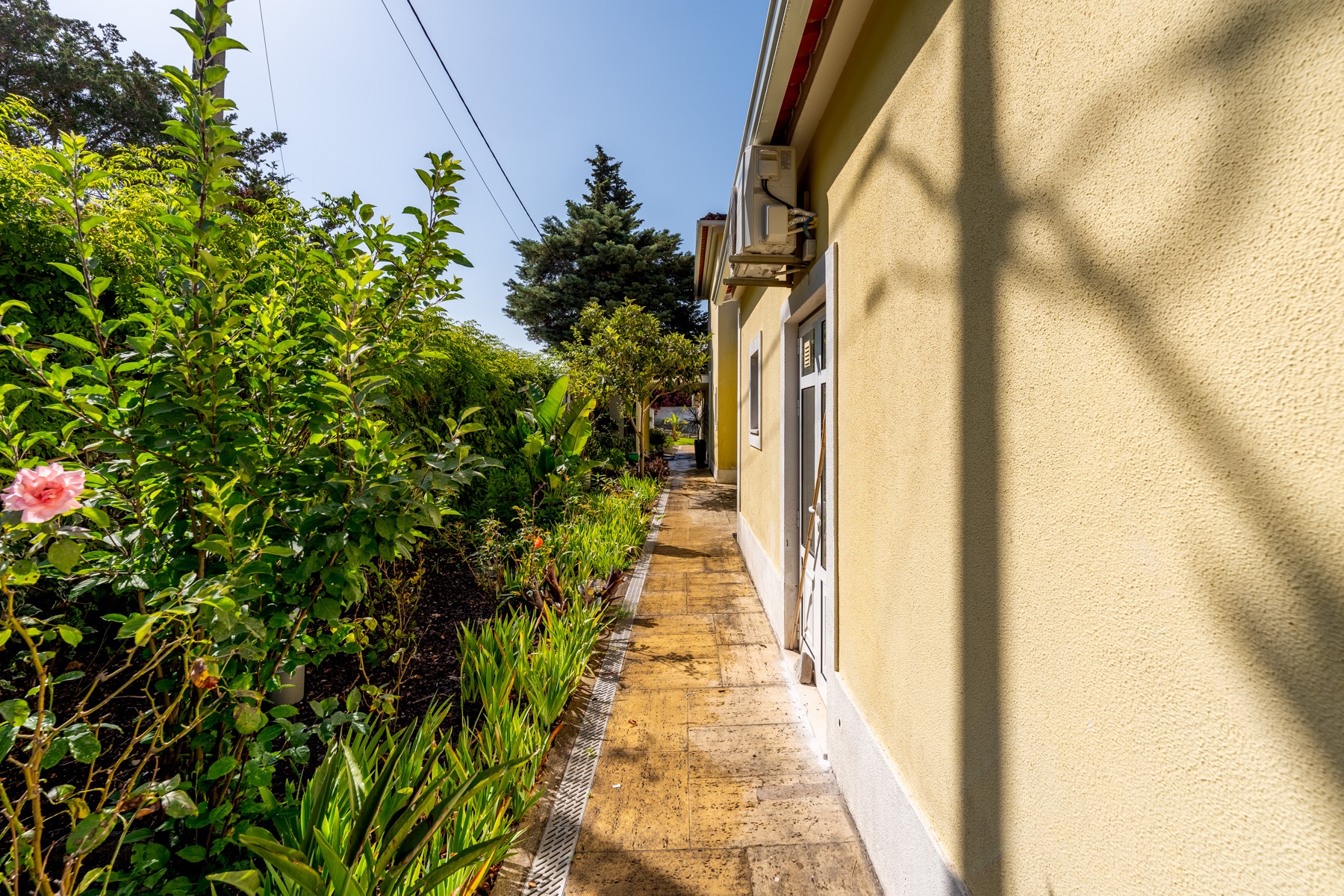  House, 12 bedrooms, for Sale - 物件實景