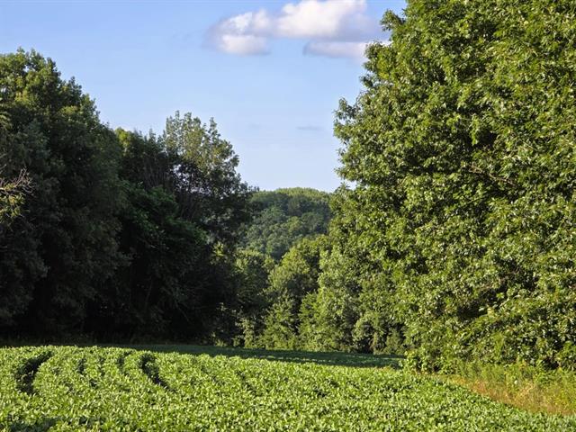 Soldiers Grove, Wisconsin, 54655, United States, ,Residential,For Sale,1904282