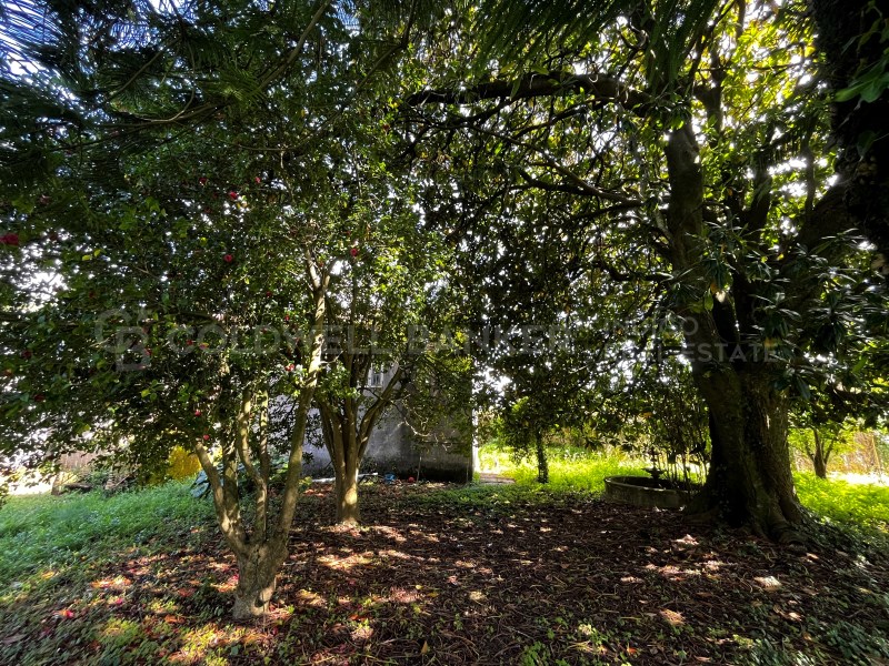 Pontevedra, Moa?a, Moa?a (San Marti?o P. E Virxe d, Moaña, Galicia, ES, 7 Bedrooms Bedrooms, ,2 BathroomsBathrooms,Residential,For Sale,Pontevedra, Moa?a, Moa?a (San Marti?o P. E Virxe d,1623275