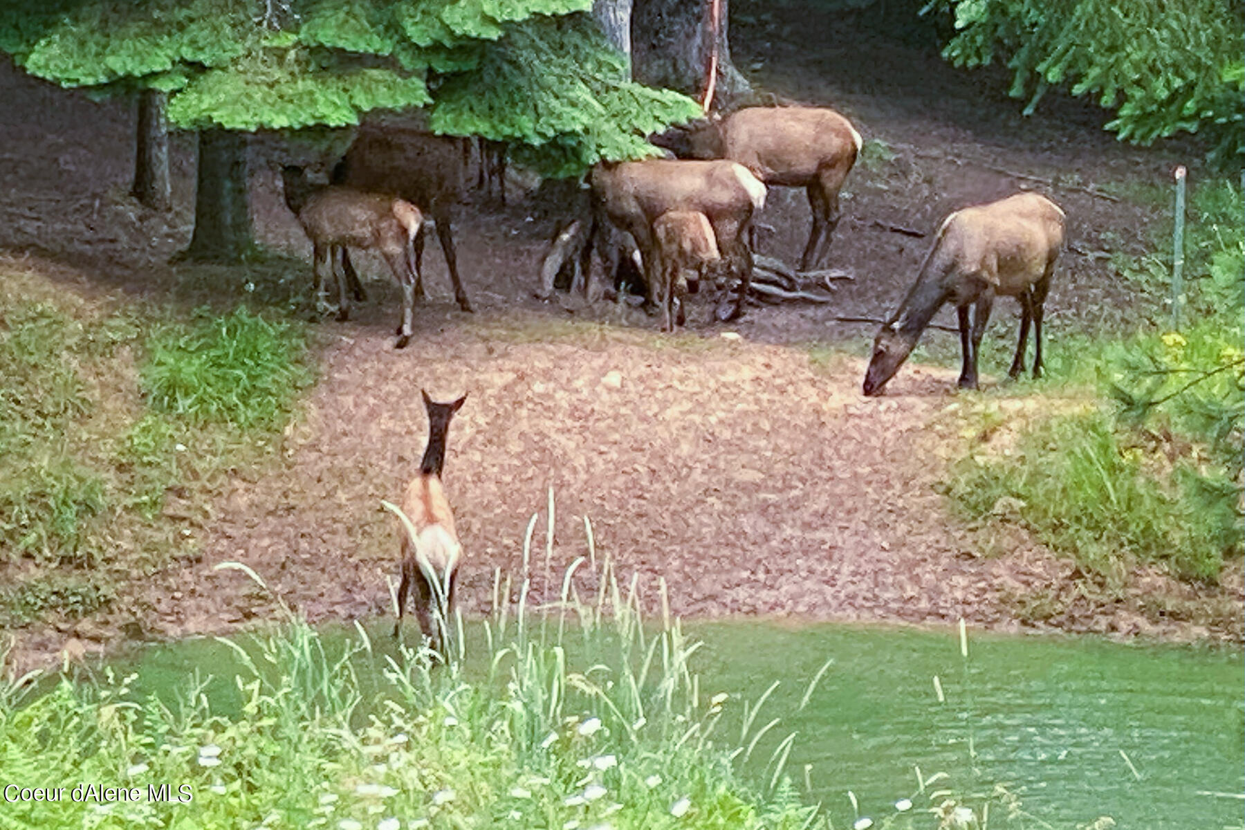 Coeur d'Alene, Idaho, 83814, United States, 4 Bedrooms Bedrooms, ,3 BathroomsBathrooms,Residential,For Sale,1974008