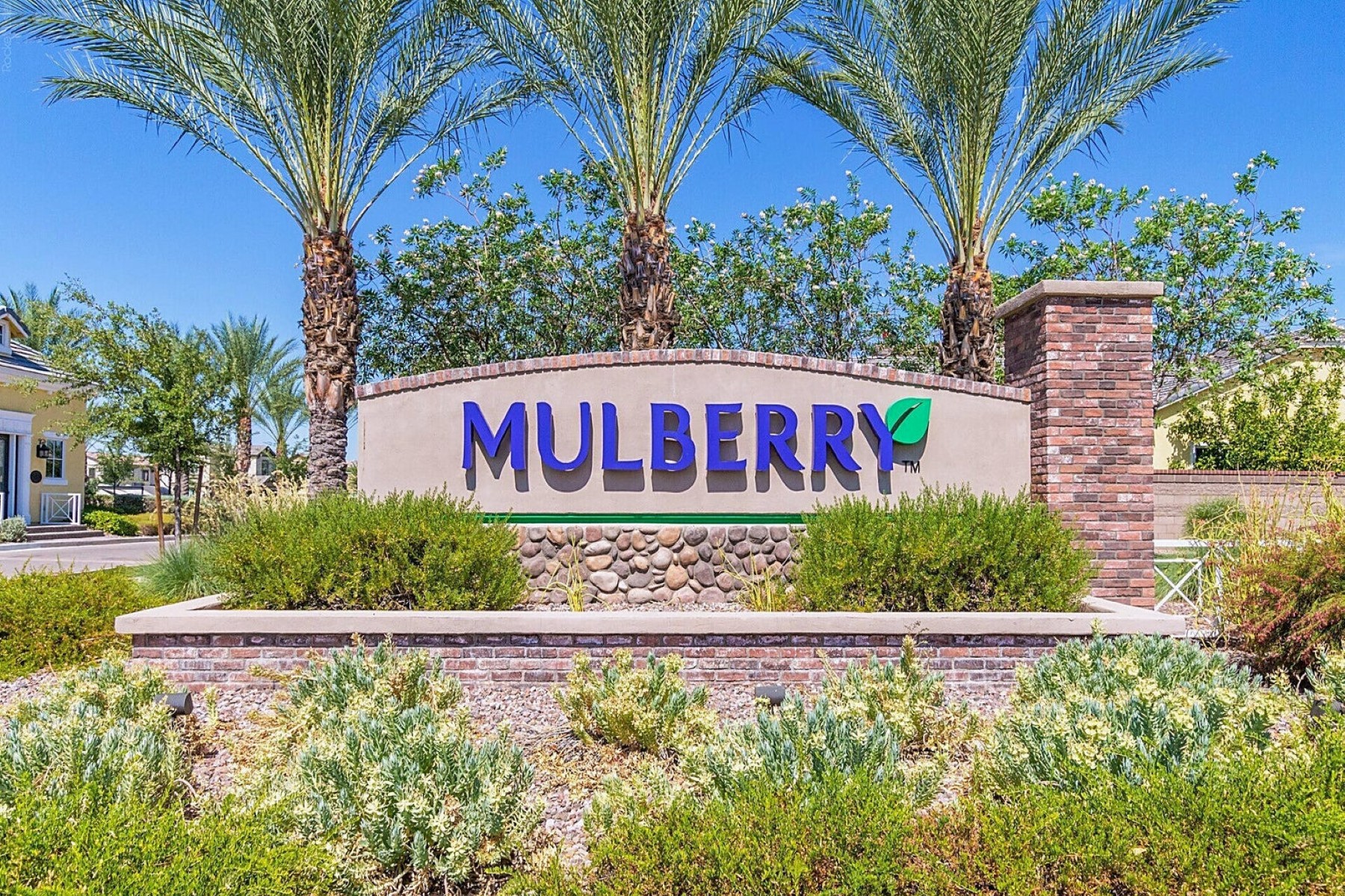  10534 E Naranja Avenue ¦Mesa, AZ - 物件實景