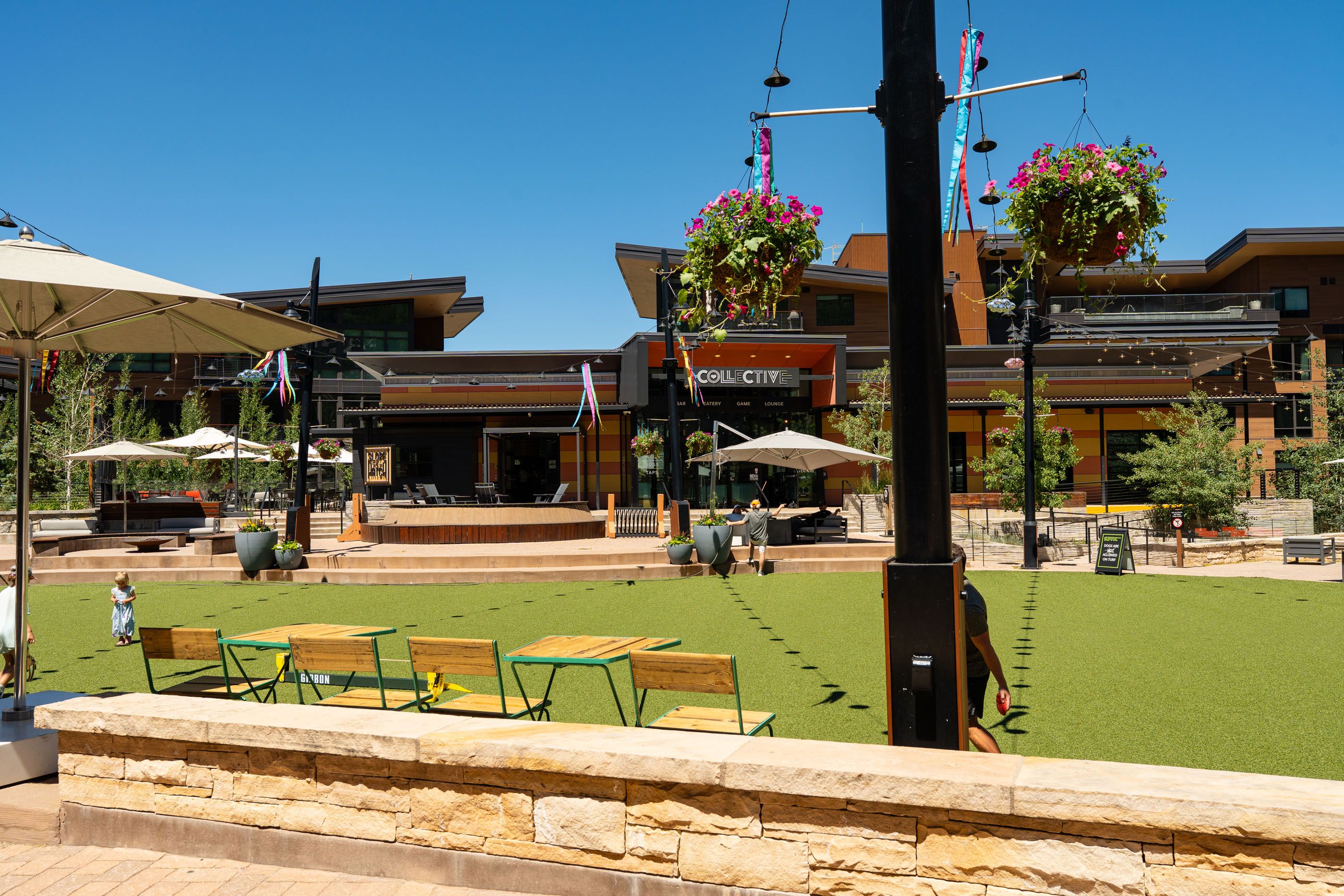  110 Carriage Way, Snowmass Village, CO, 81615 - 物件實景