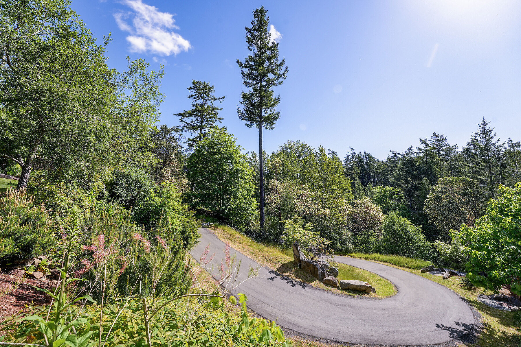  A True Piece of Paradise - 物件實景