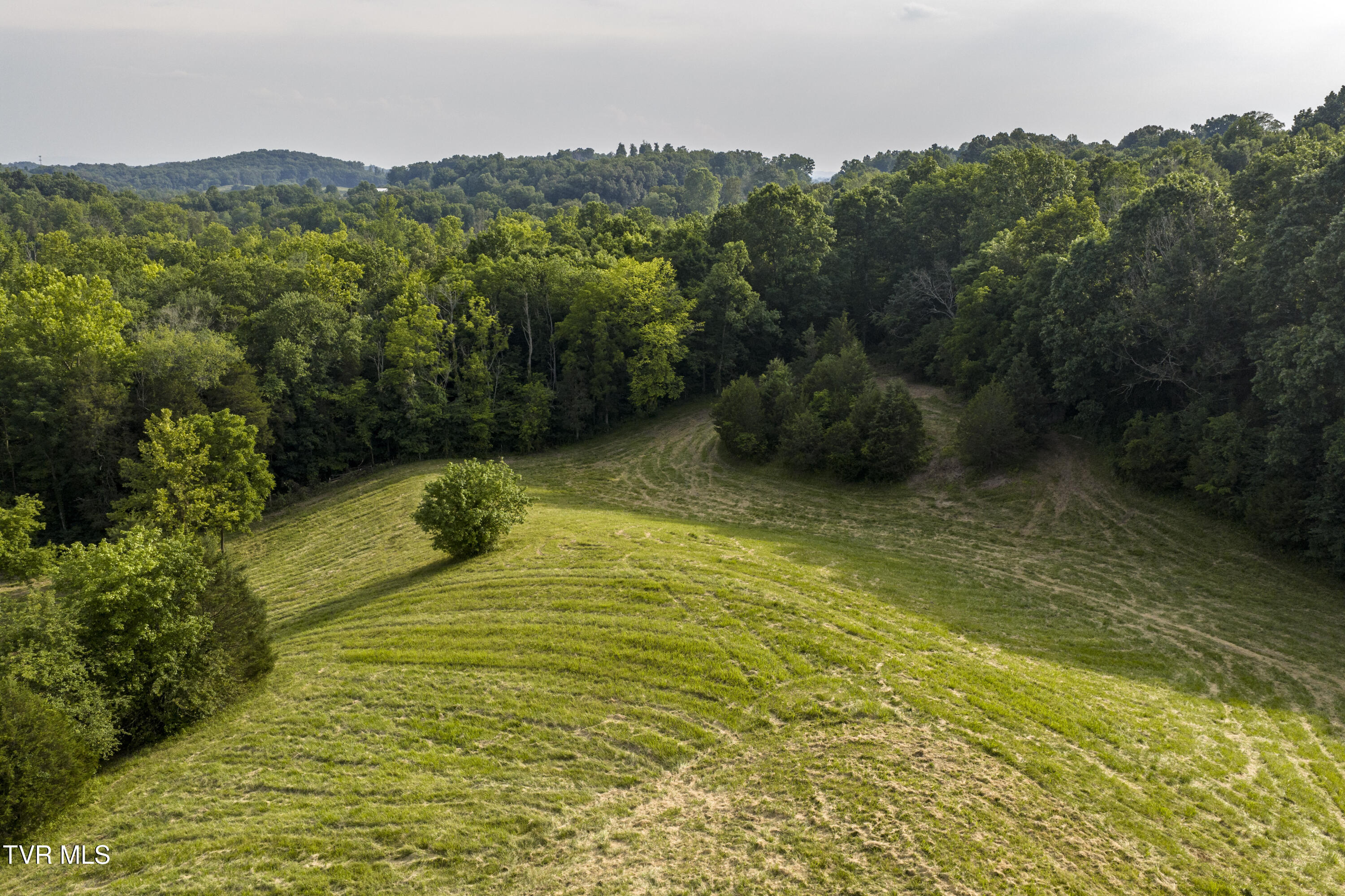 Piney Flats, Tennessee, 37686, United States, ,Land,For Sale,1983828
