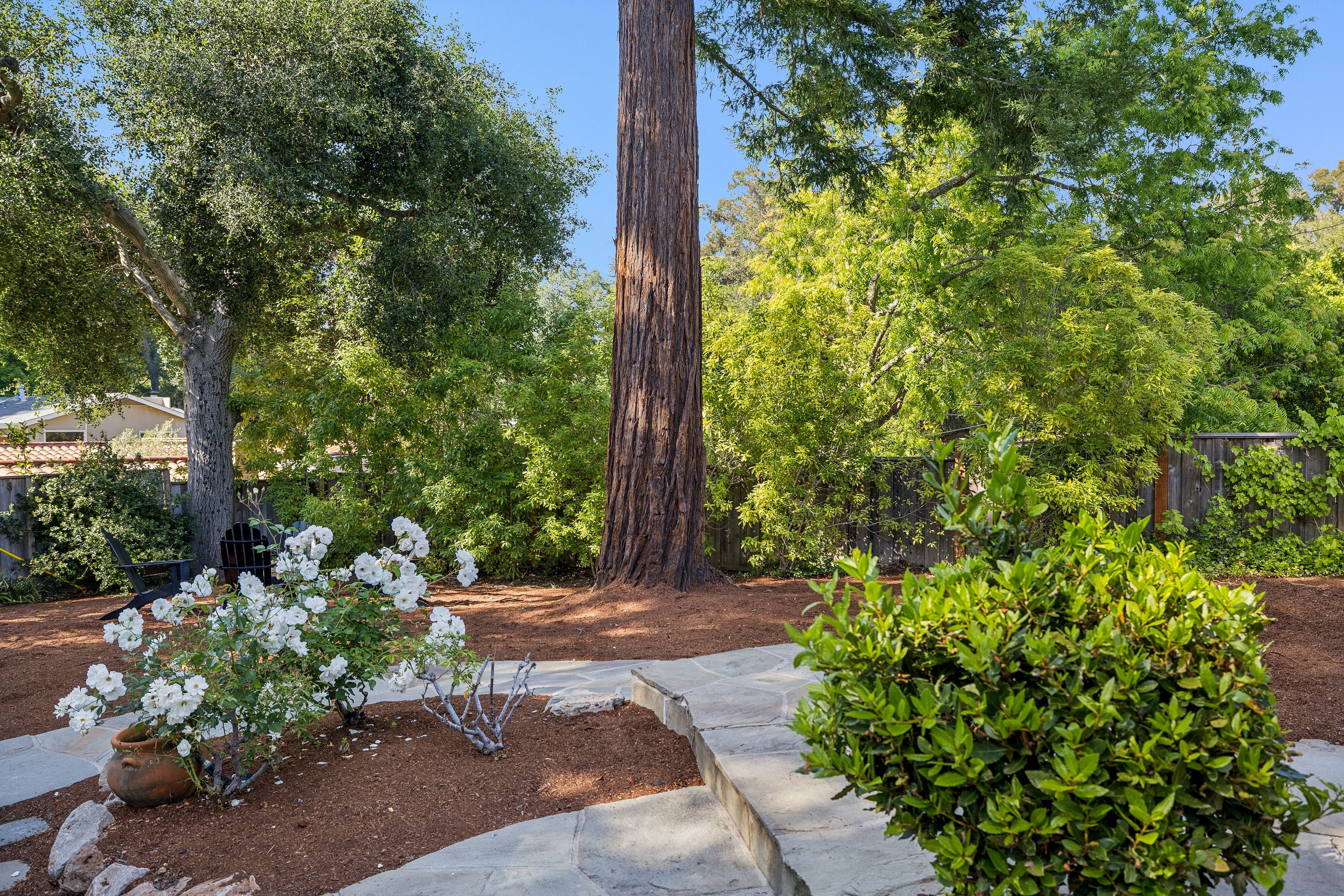  Beautifully Remodeled Downtown Los Gatos Home - 物件實景
