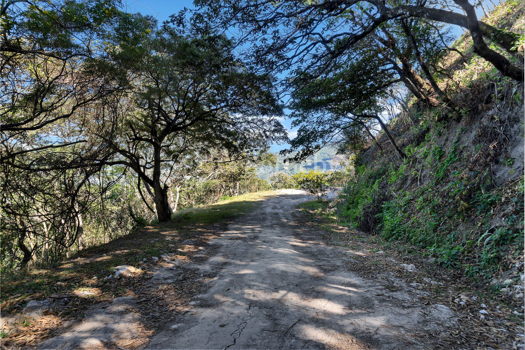  Best Deal Lot In Condominuim Montaña del Sol - 物件實景