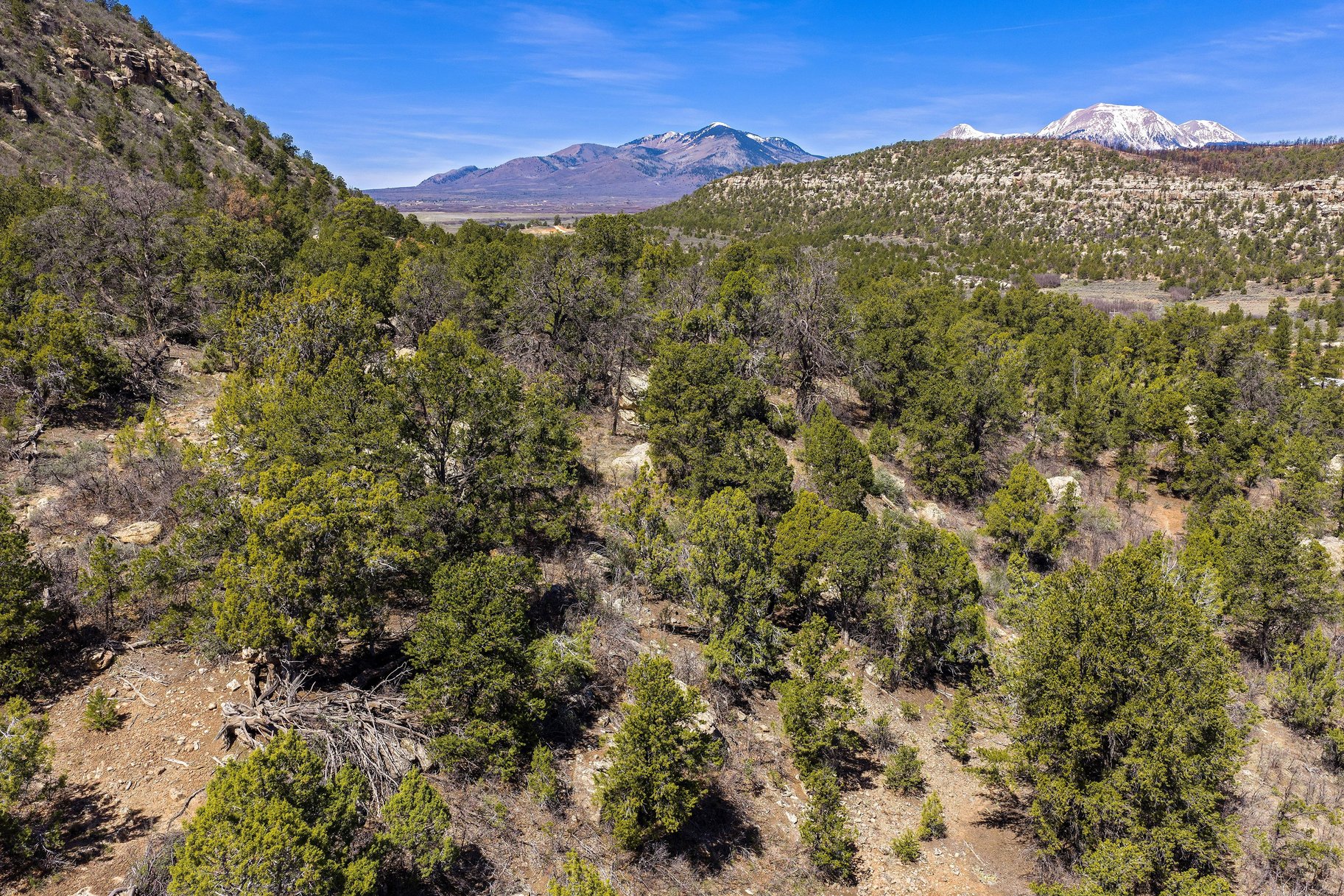  Secluded 18 Acre Wooded Lot In Old La Sal Utah - 物件實景