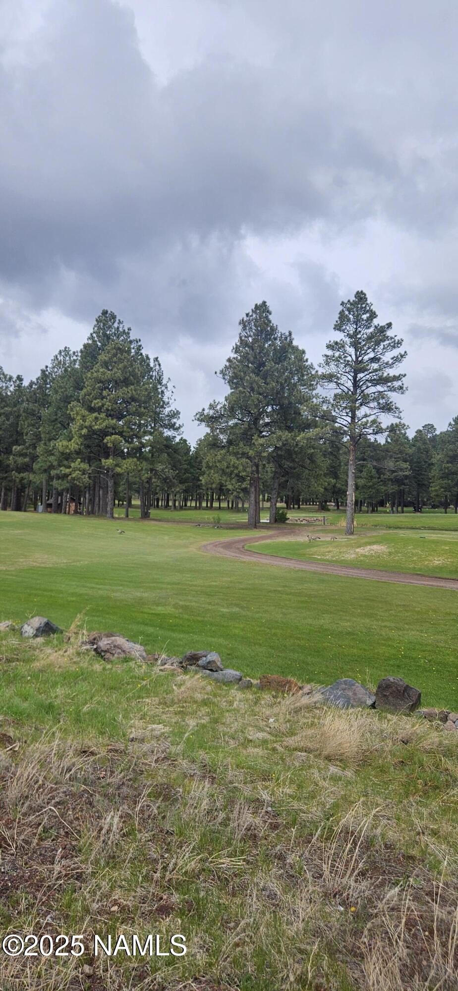 Williams, Arizona, 86046, United States, 2 Bedrooms Bedrooms, ,2 BathroomsBathrooms,Residential,For Sale,1826894