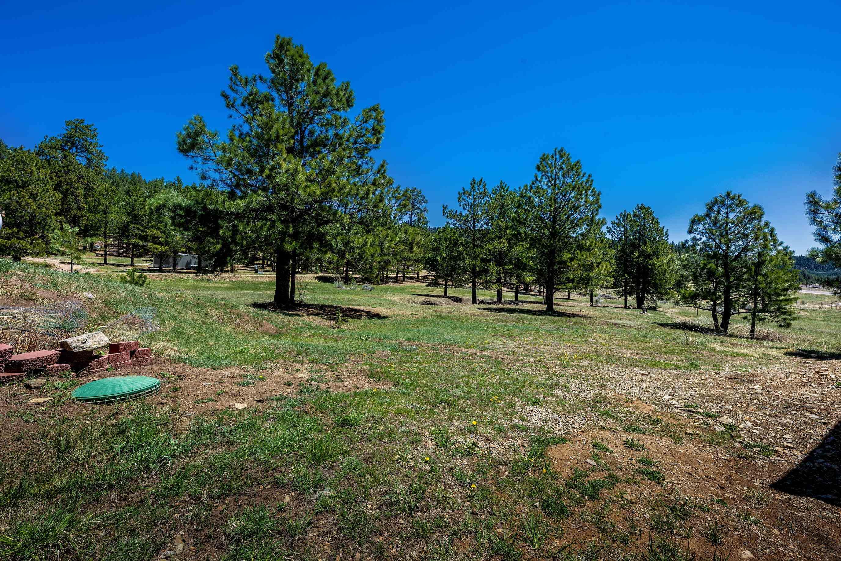 Angel Fire, New Mexico, 87710, United States, 2 Bedrooms Bedrooms, ,2 BathroomsBathrooms,Residential,For Sale,1829555