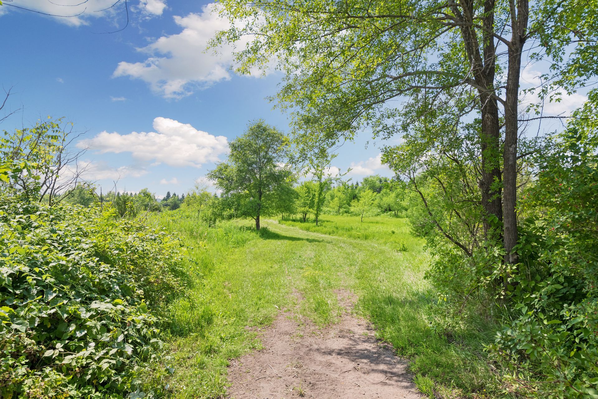  Private Prior Lake Farmstead and Nature Retreat - 物件實景