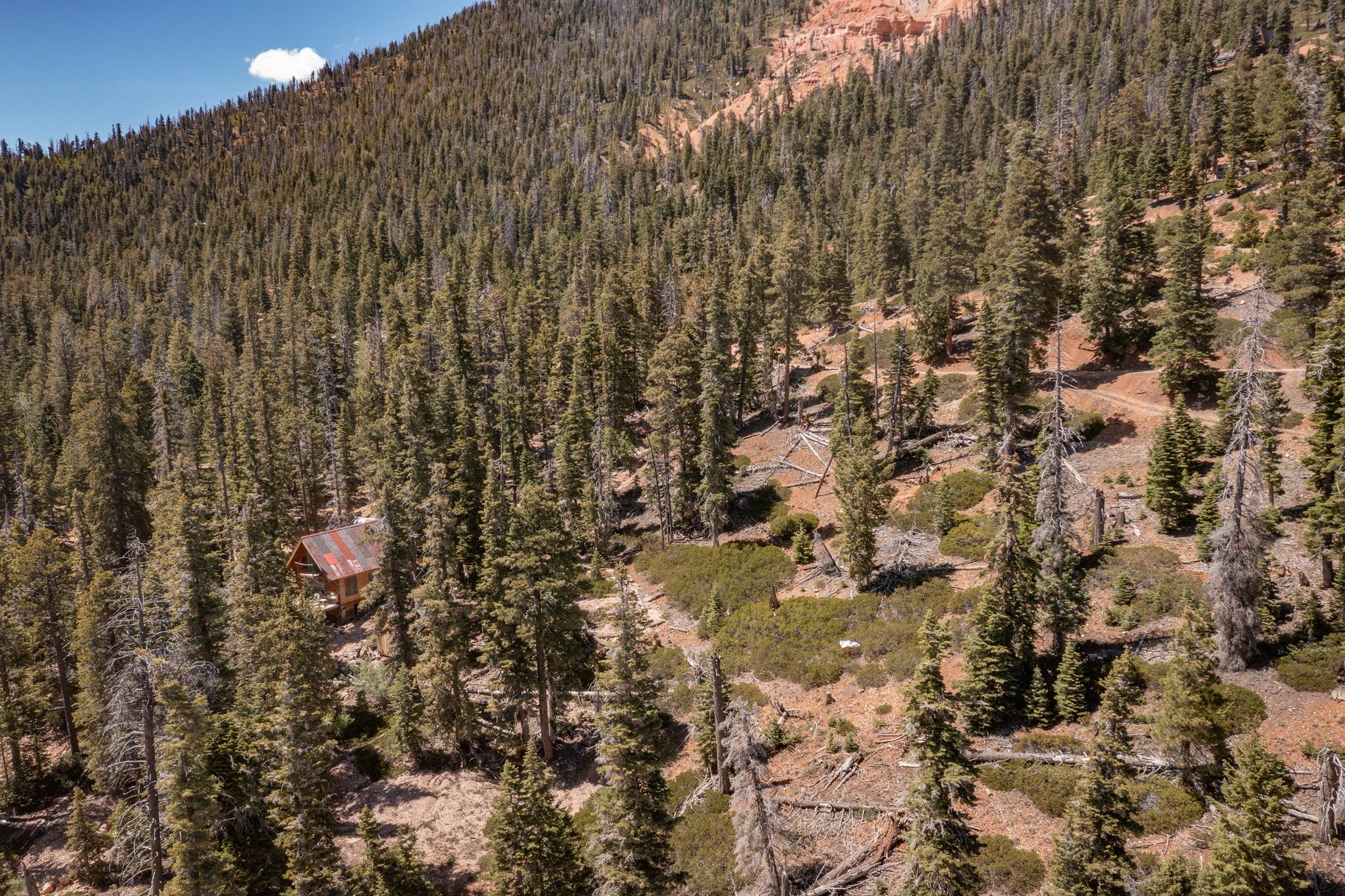  Quiet Mountain Retreat Near Navajo Lake - 物件實景