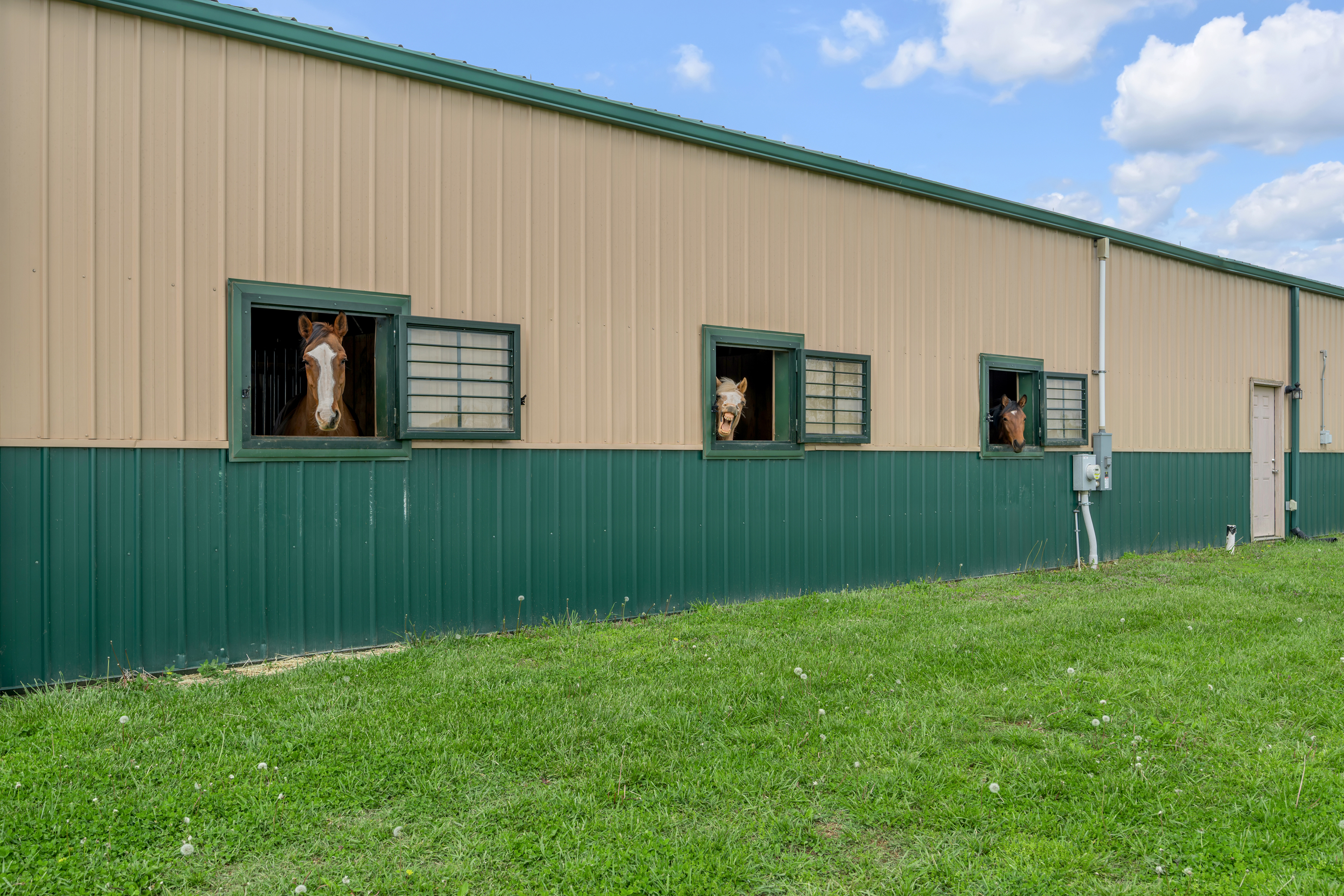  3200 Fishers Mill Road - 物件實景