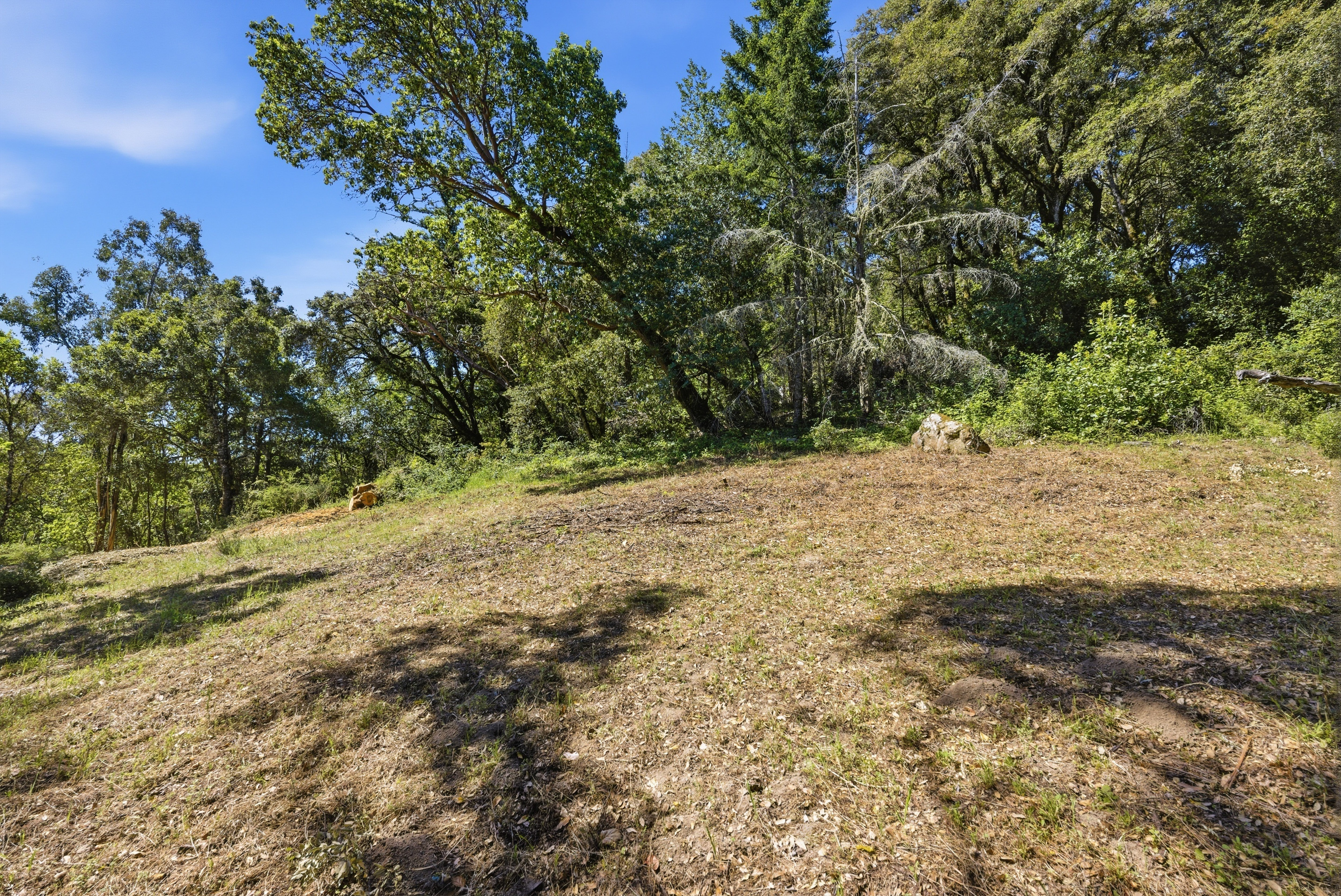  Exceptional Five-Acre Estate Opportunity with Bay Area Views - 物件實景