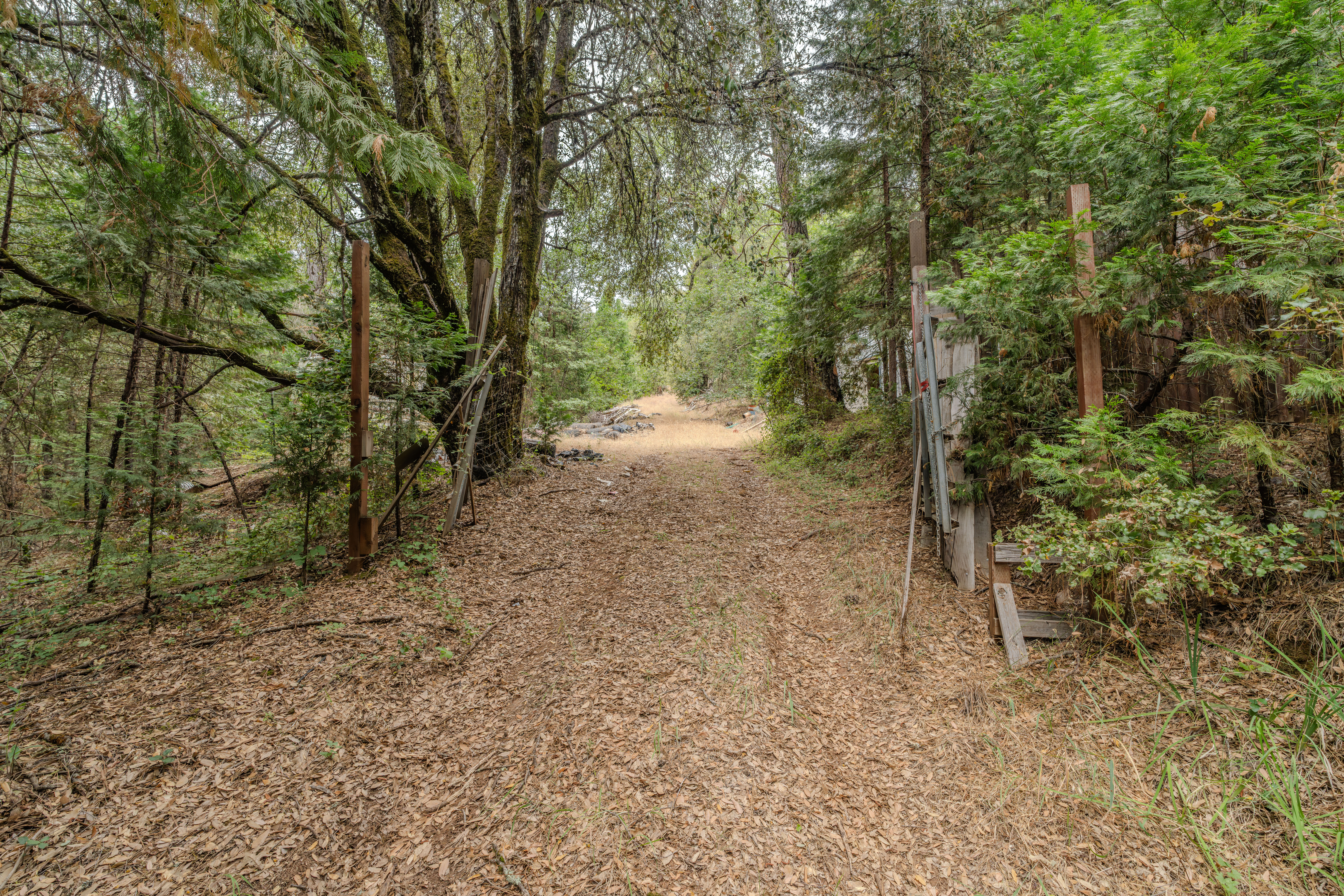  18101 Old River Road, Fiddletown, CA 95629 - 物件實景