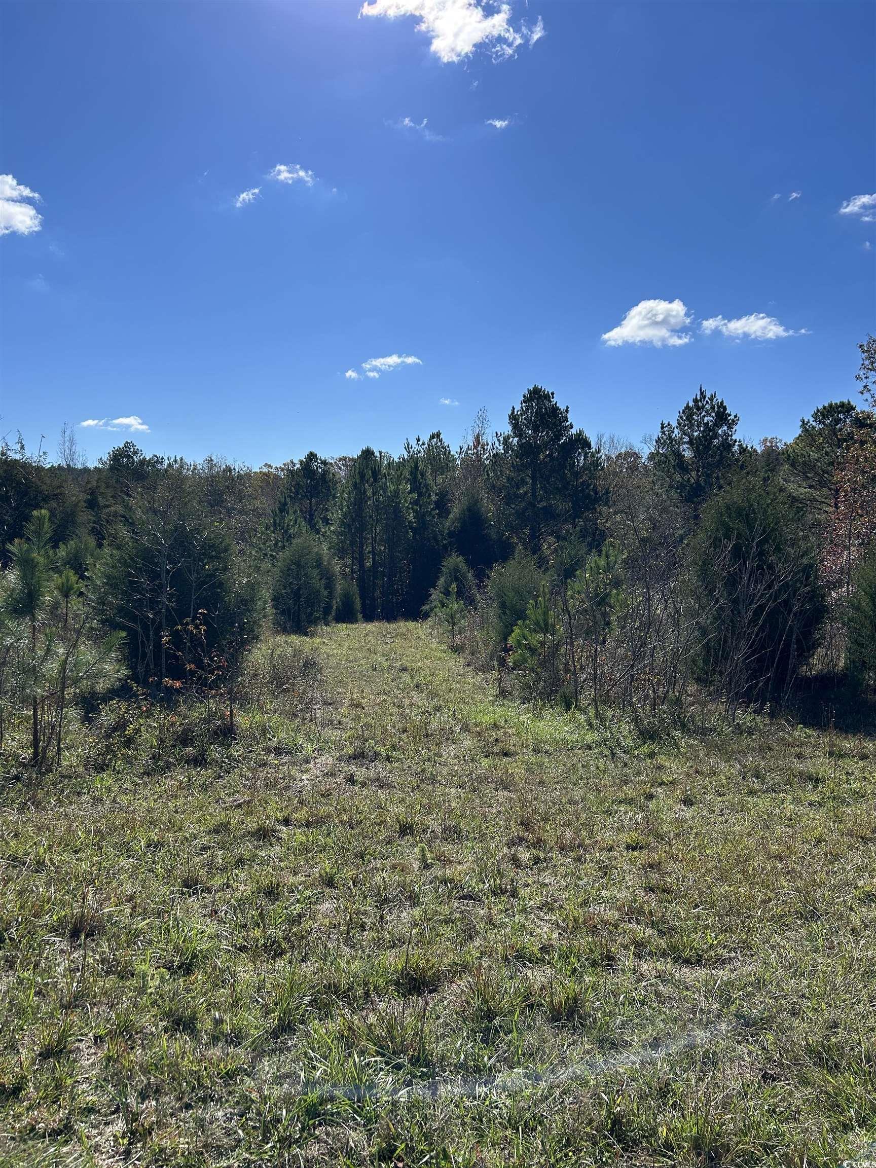  TBD River Fork Rd - 物件實景