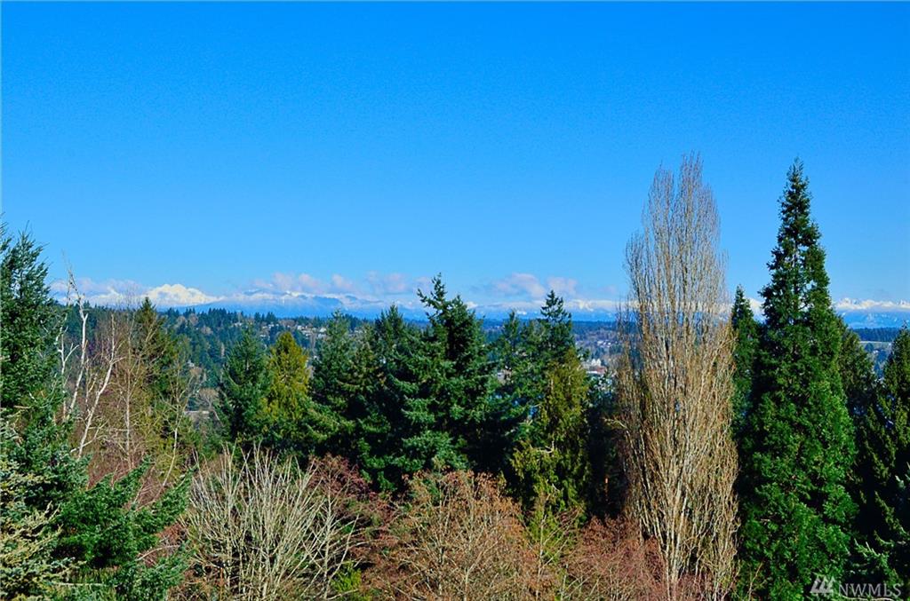 16001 36th Ave NE, Lake Forest Park, Washington, 98155, United States, 2 Bedrooms Bedrooms, ,4 BathroomsBathrooms,Residential,For Sale,16001 36th Ave NE,1621421