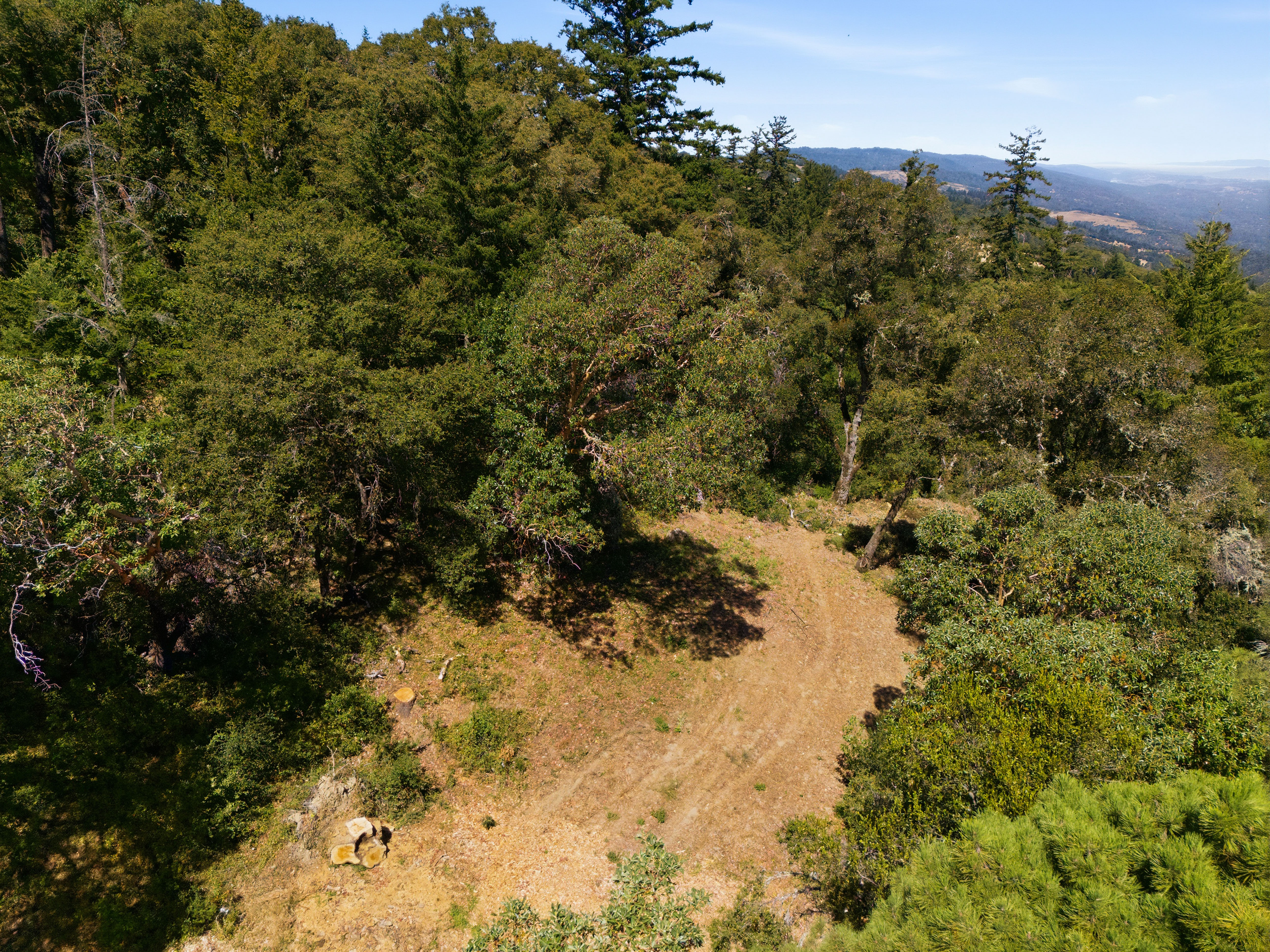  Exceptional Five-Acre Estate Opportunity with Bay Area Views - 物件實景
