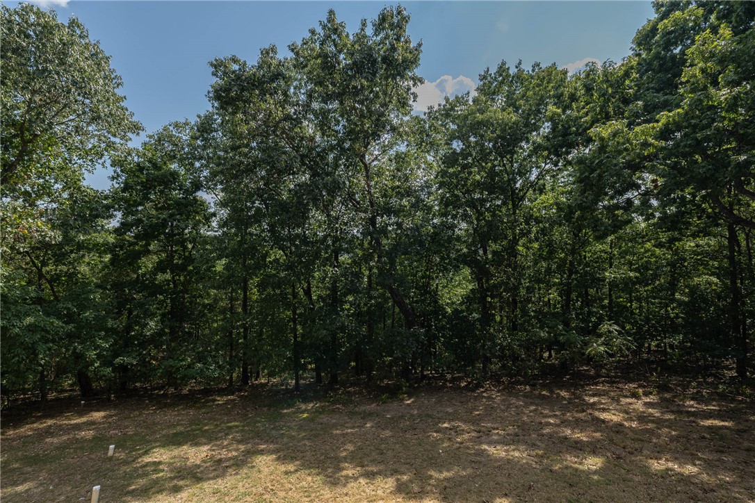 Bella Vista, Arkansas, 72714, United States, 4 Bedrooms Bedrooms, ,4 BathroomsBathrooms,Residential,For Sale,1918592