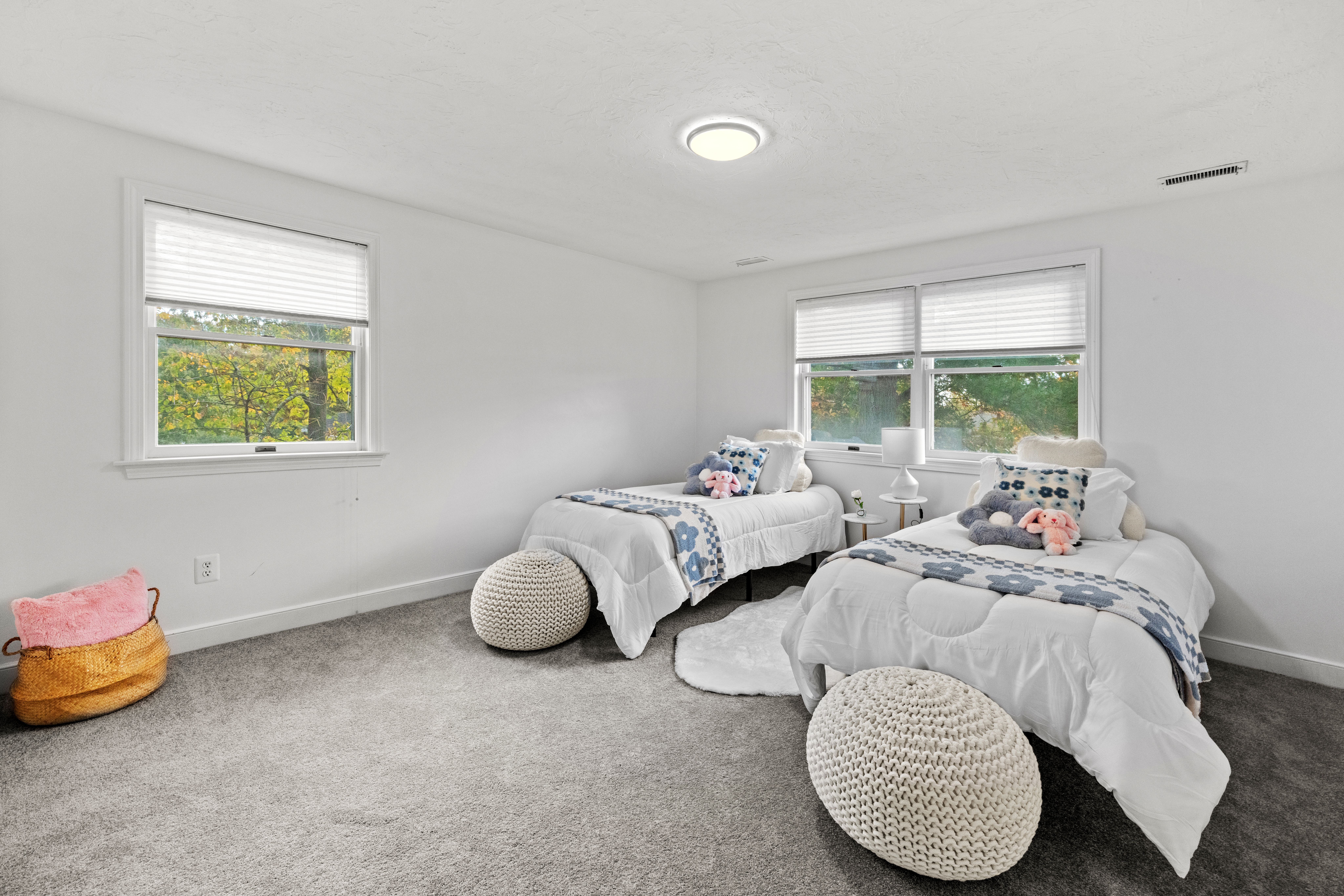  163 Standish Road, Needham, MA, 02492 - 物件實景