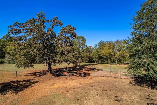 Winona, Texas, 75792, United States, 4 Bedrooms Bedrooms, ,2 BathroomsBathrooms,Residential,For Sale,1995143