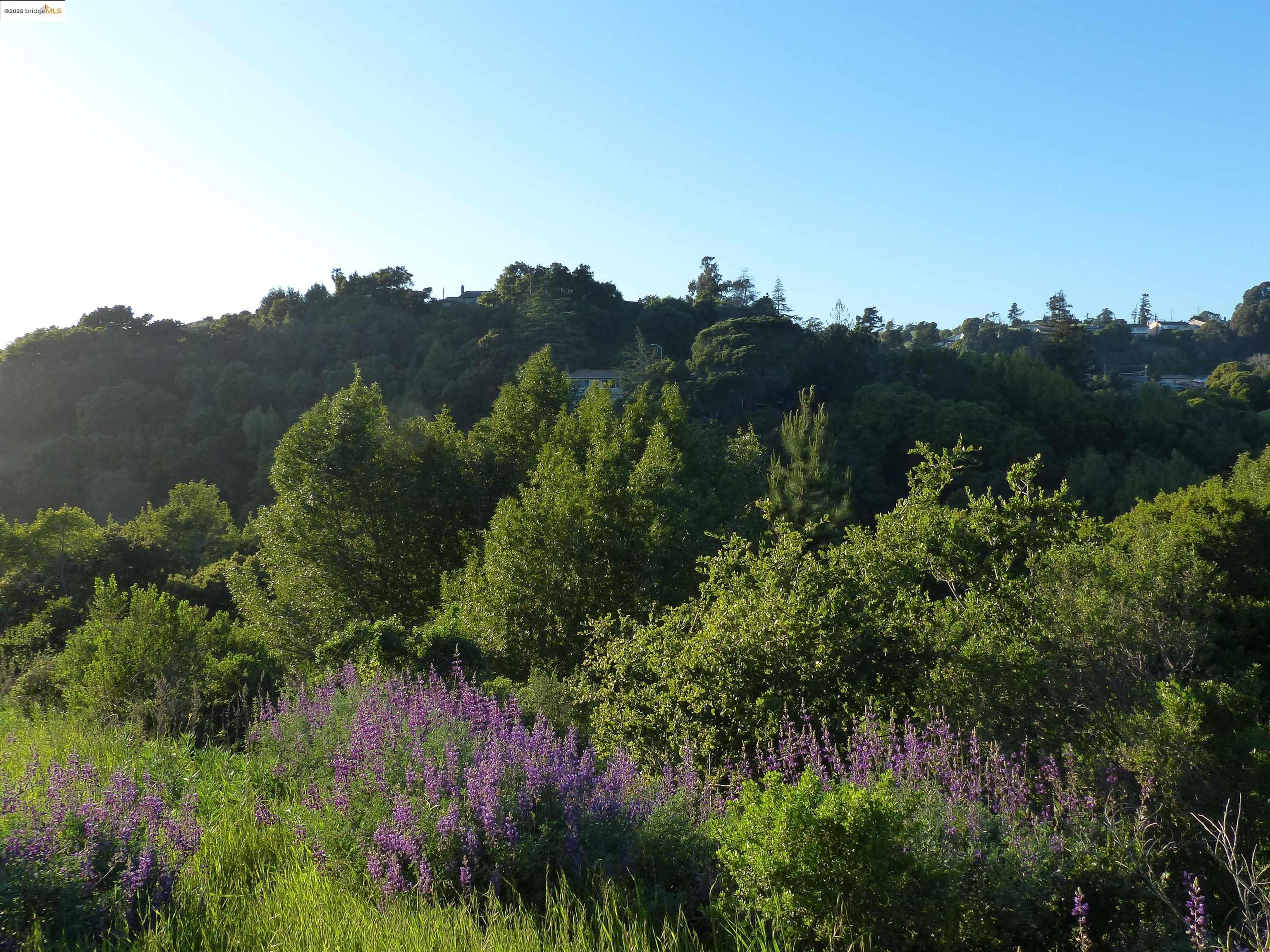 Oakland, California, 94605, United States, ,Land,For Sale,1958207