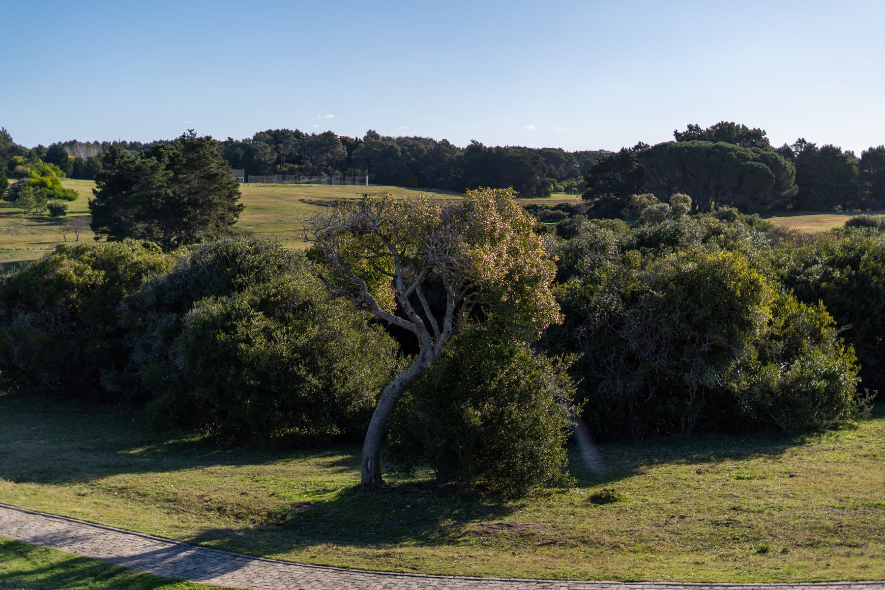  Magnificent Farm of 5 Hectares in José Ignacio - 物件實景