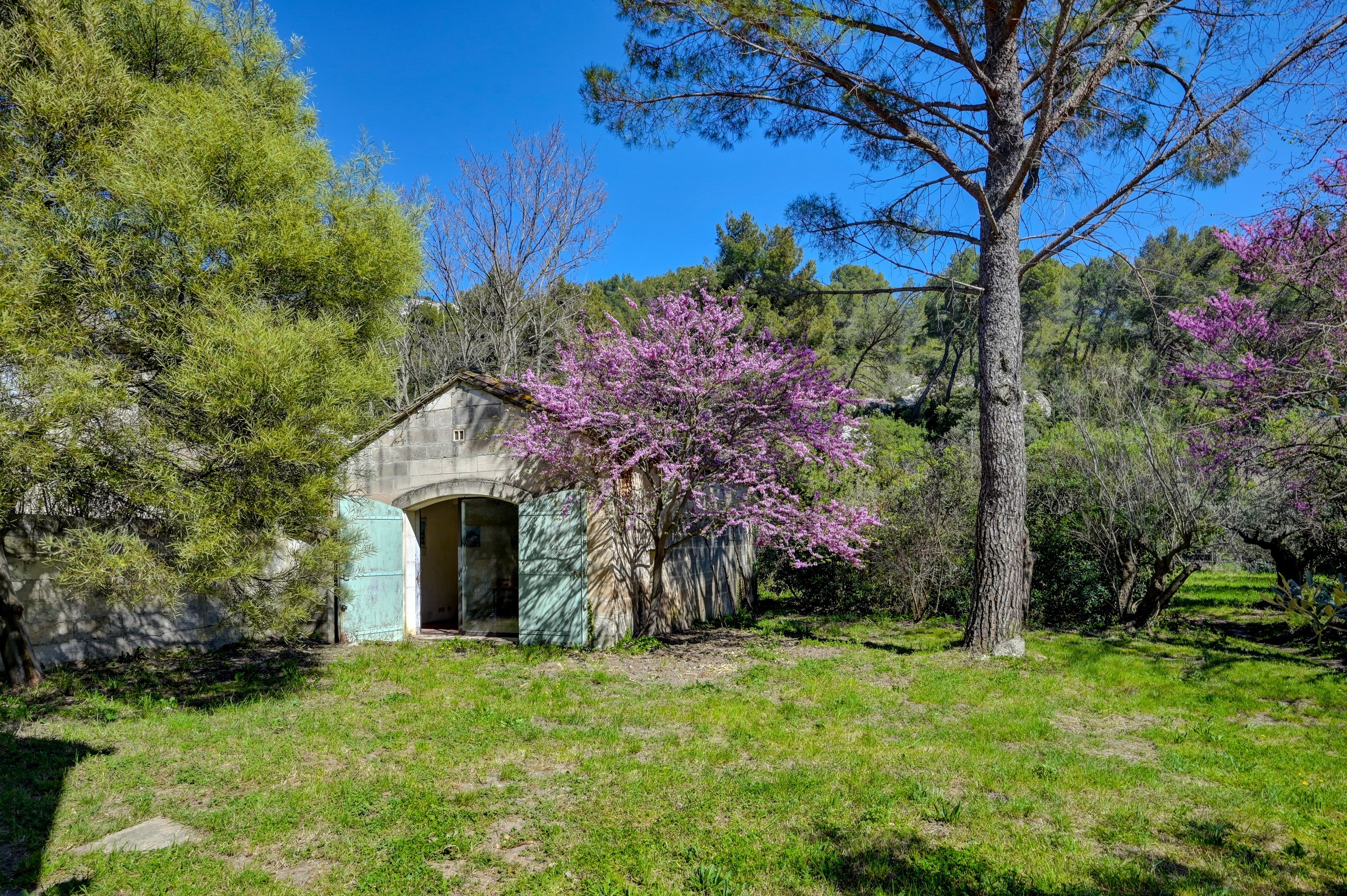  Exclusive. Authentic and charming property located in Les Baux-de-Provence - 物件實景