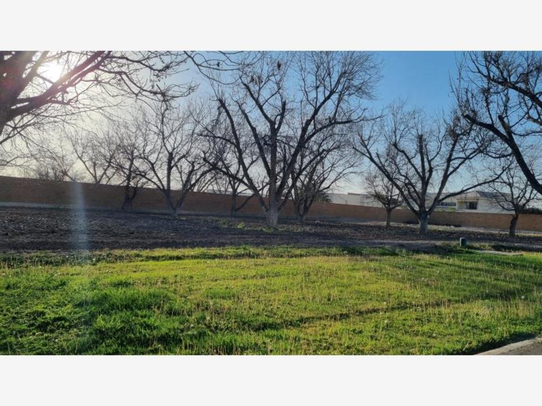 BUFALOS, Torreón, Coahuila de Zaragoza, 27105, Mexico, 1 Bedroom Bedrooms, ,Residential,For Sale,BUFALOS,1235171