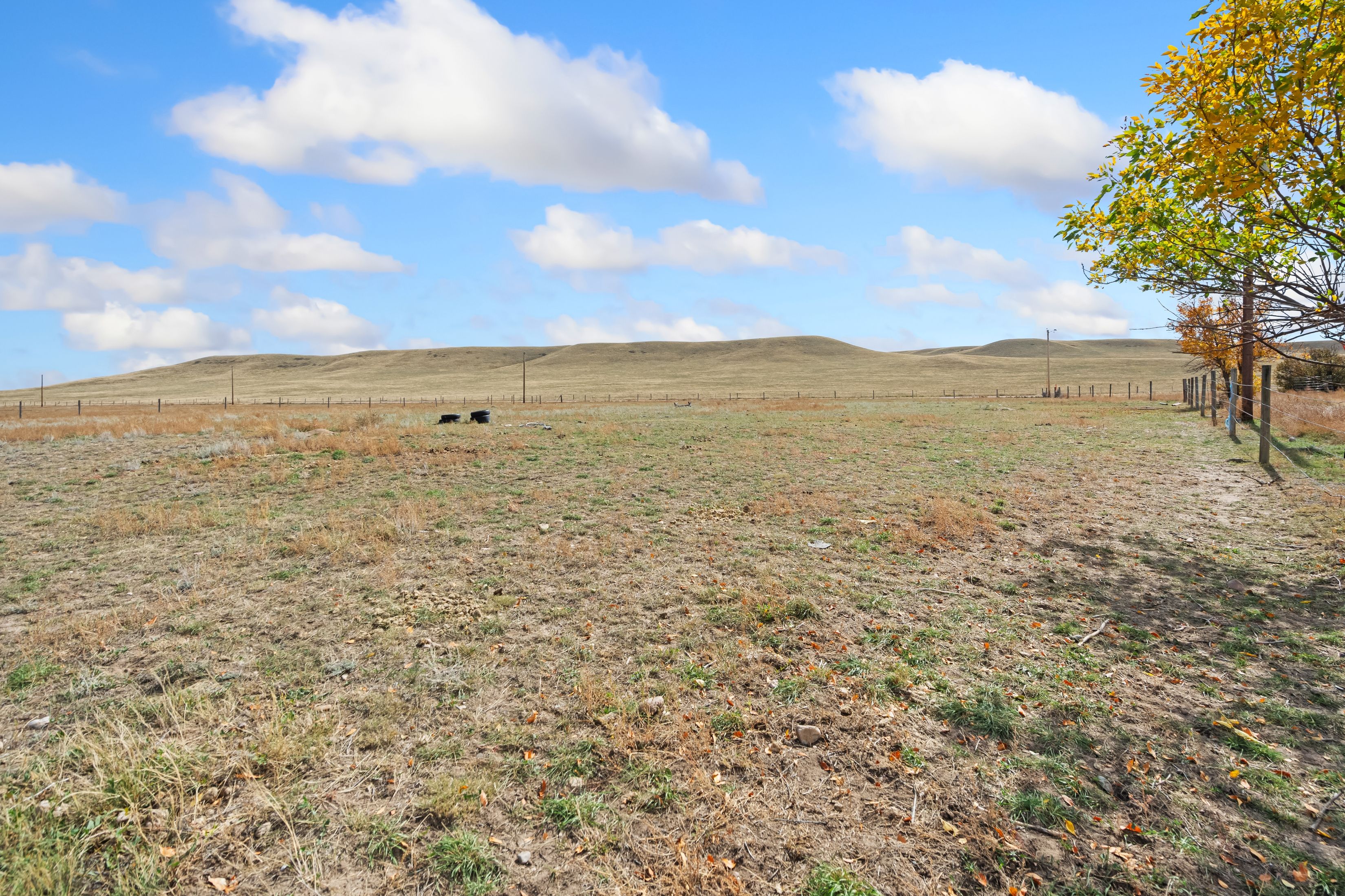  Exceptional Equestrian Property on 20 Acres - 物件實景