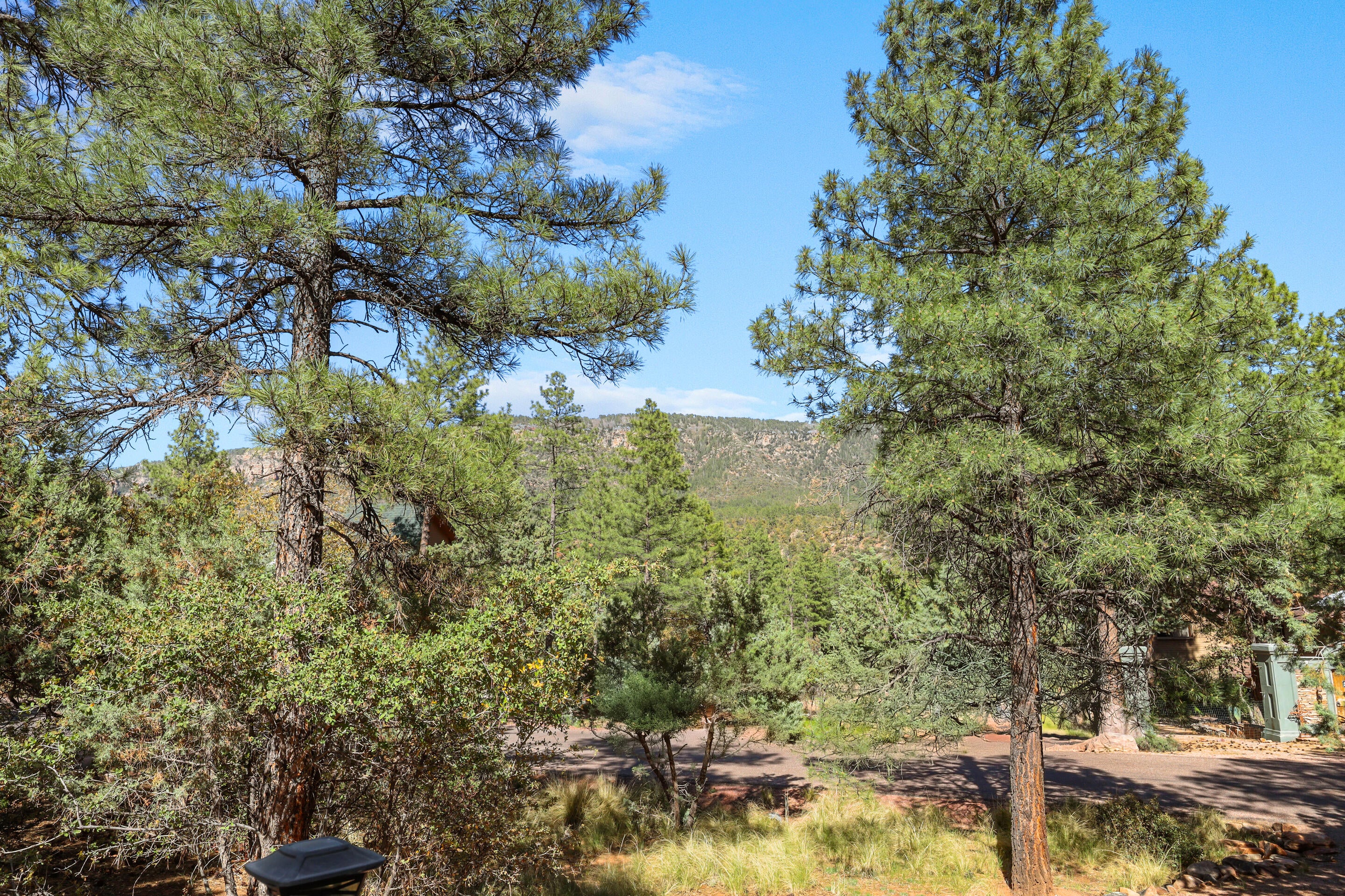 Pine, Arizona, 85544, United States, 2 Bedrooms Bedrooms, ,1 BathroomBathrooms,Residential,For Sale,1819700