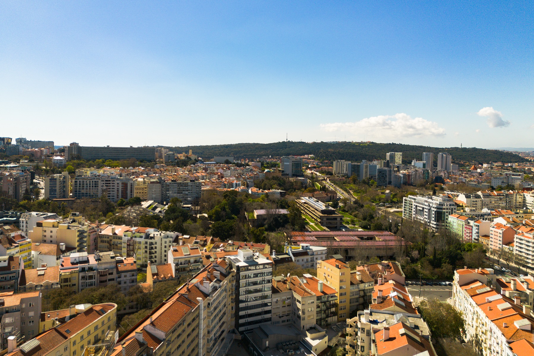  Flat, 4 bedrooms, for Sale - 物件實景