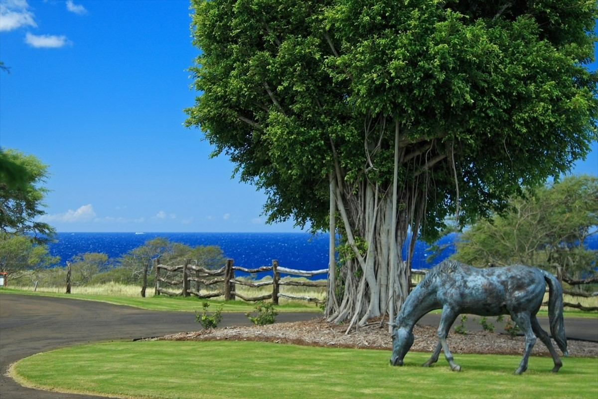 56-113 PUALANI ROAD, Hawi, Hawaii, 96719, United States, ,Land,For Sale,56-113 PUALANI ROAD,1642181