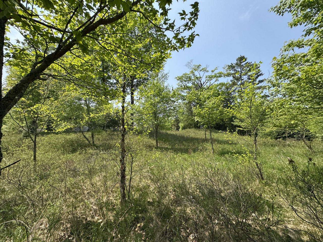 Oma, Wisconsin, 54534, United States, ,Residential,For Sale,1920346