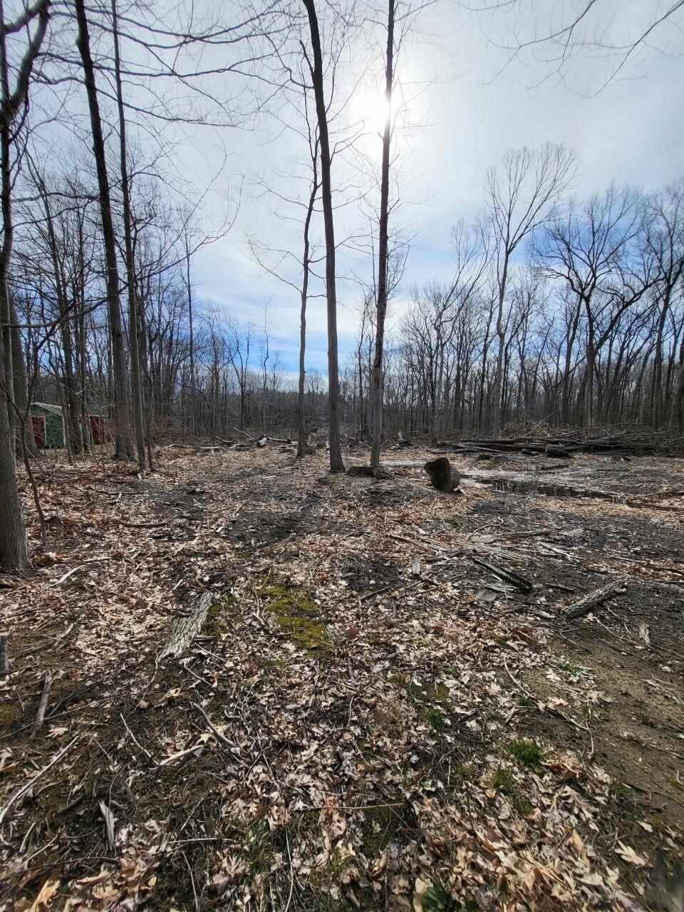 Union Pier, Michigan, 49129, United States, ,Land,For Sale,1989397