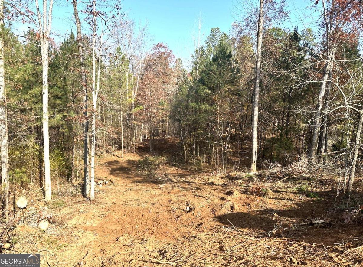 Bishop, Georgia, 30621, United States, 4 Bedrooms Bedrooms, ,4 BathroomsBathrooms,Residential,For Sale,2001856