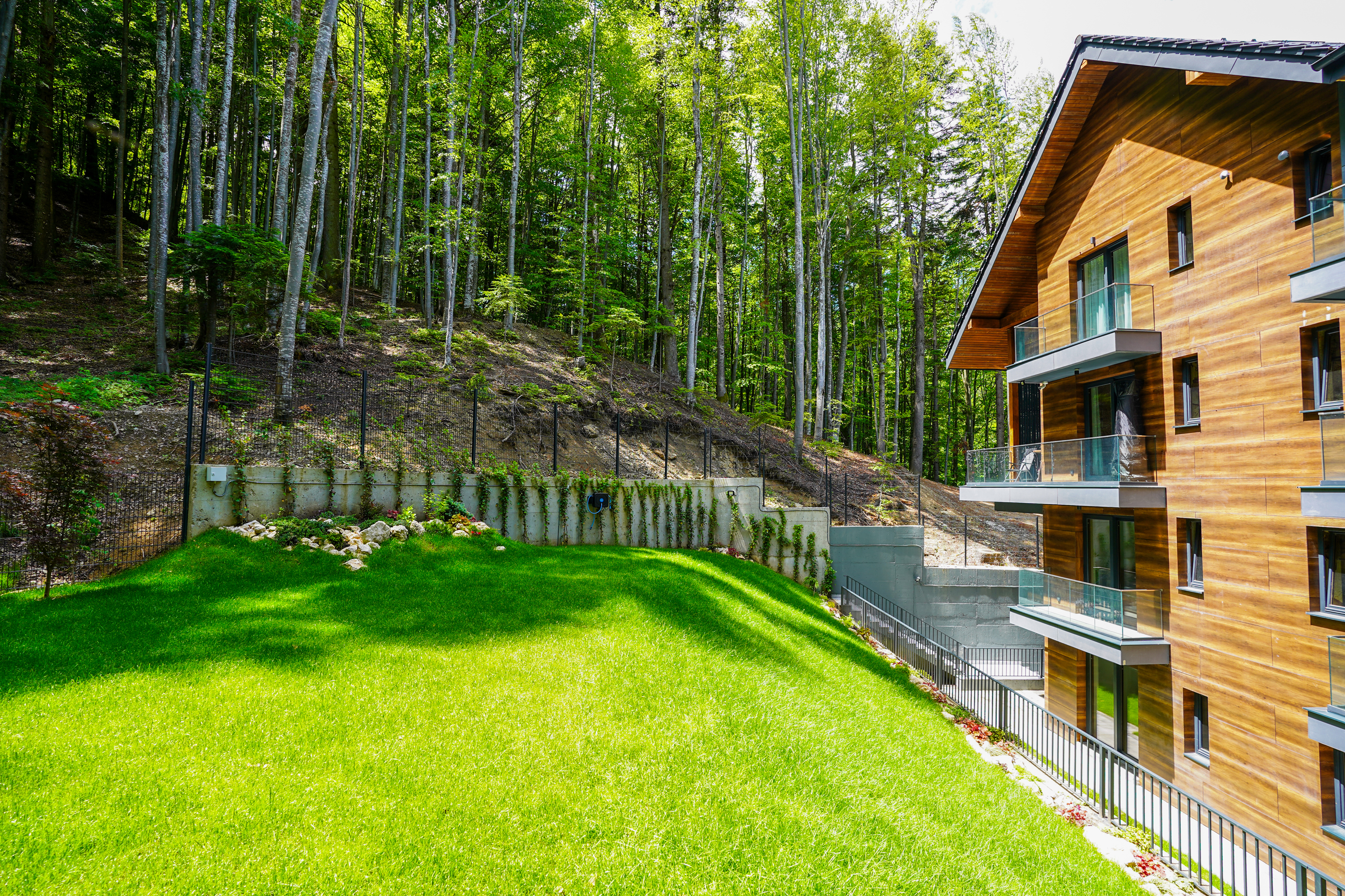  Modern Apartment Directly Adjacent to the Forest, Sinaia - 物件實景