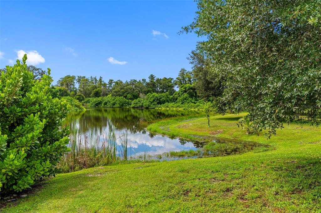 Tampa, Florida, 33615, United States, 3 Bedrooms Bedrooms, ,2 BathroomsBathrooms,Residential,For Sale,1944796