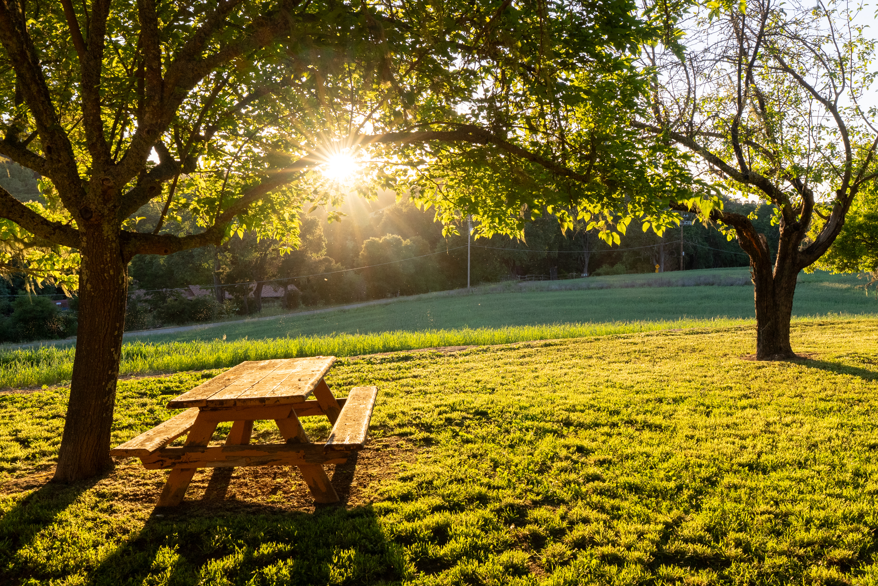  5250 & 5260 - 物件實景