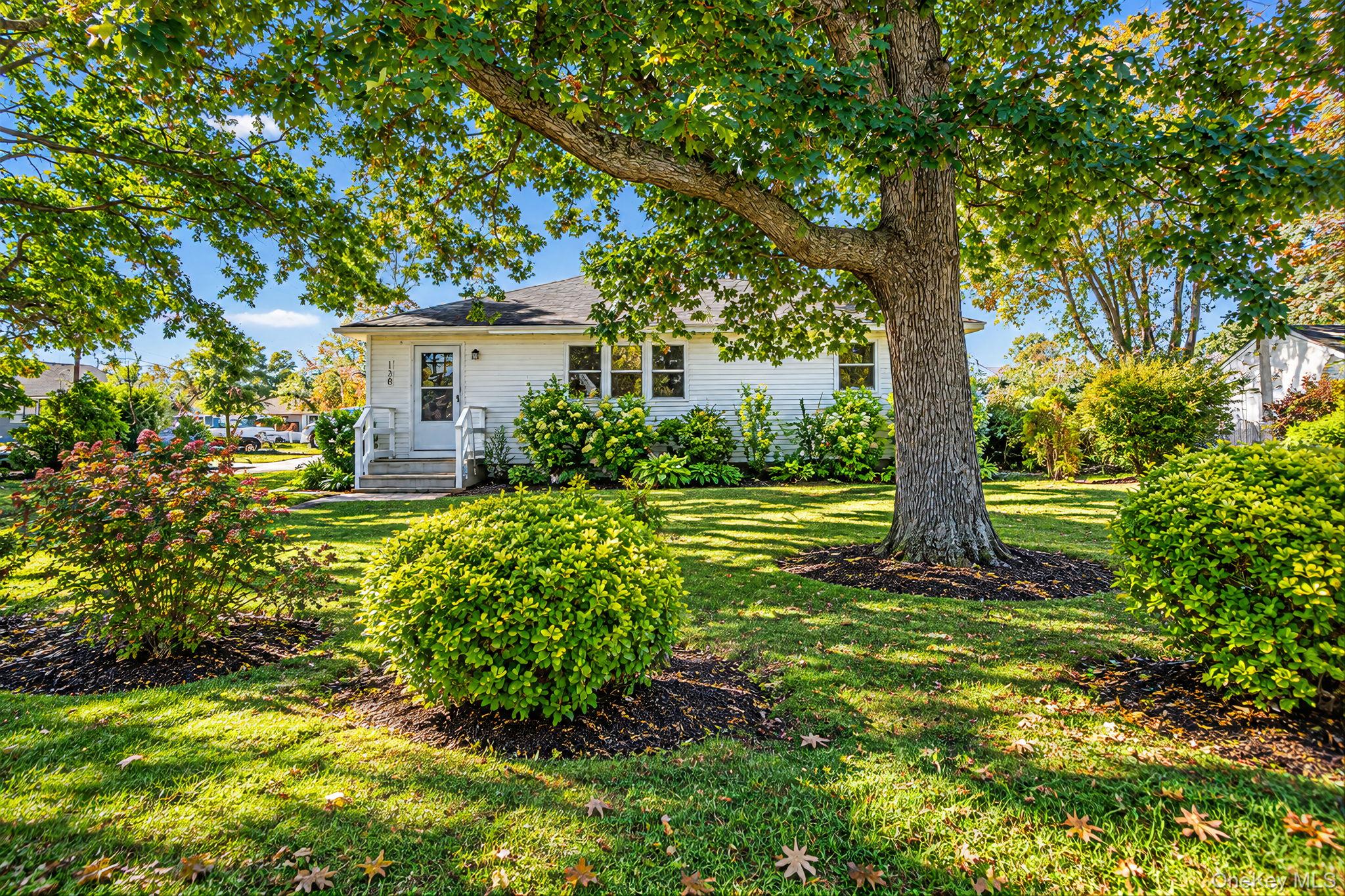 Central Ave, Patchogue, NY 11772 #1