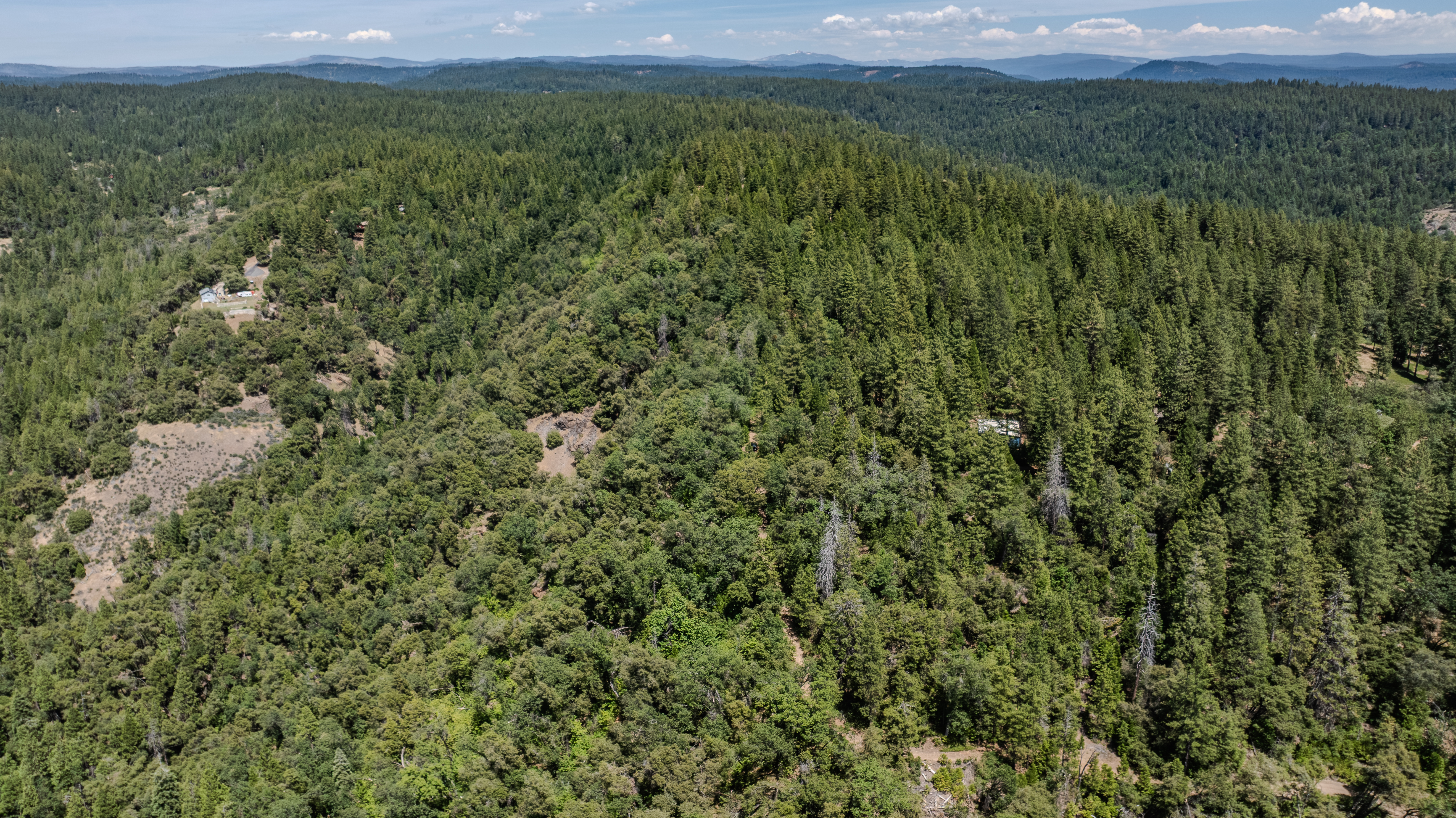  24100 Canterbury Road, Pioneer, CA 95666 - 物件實景