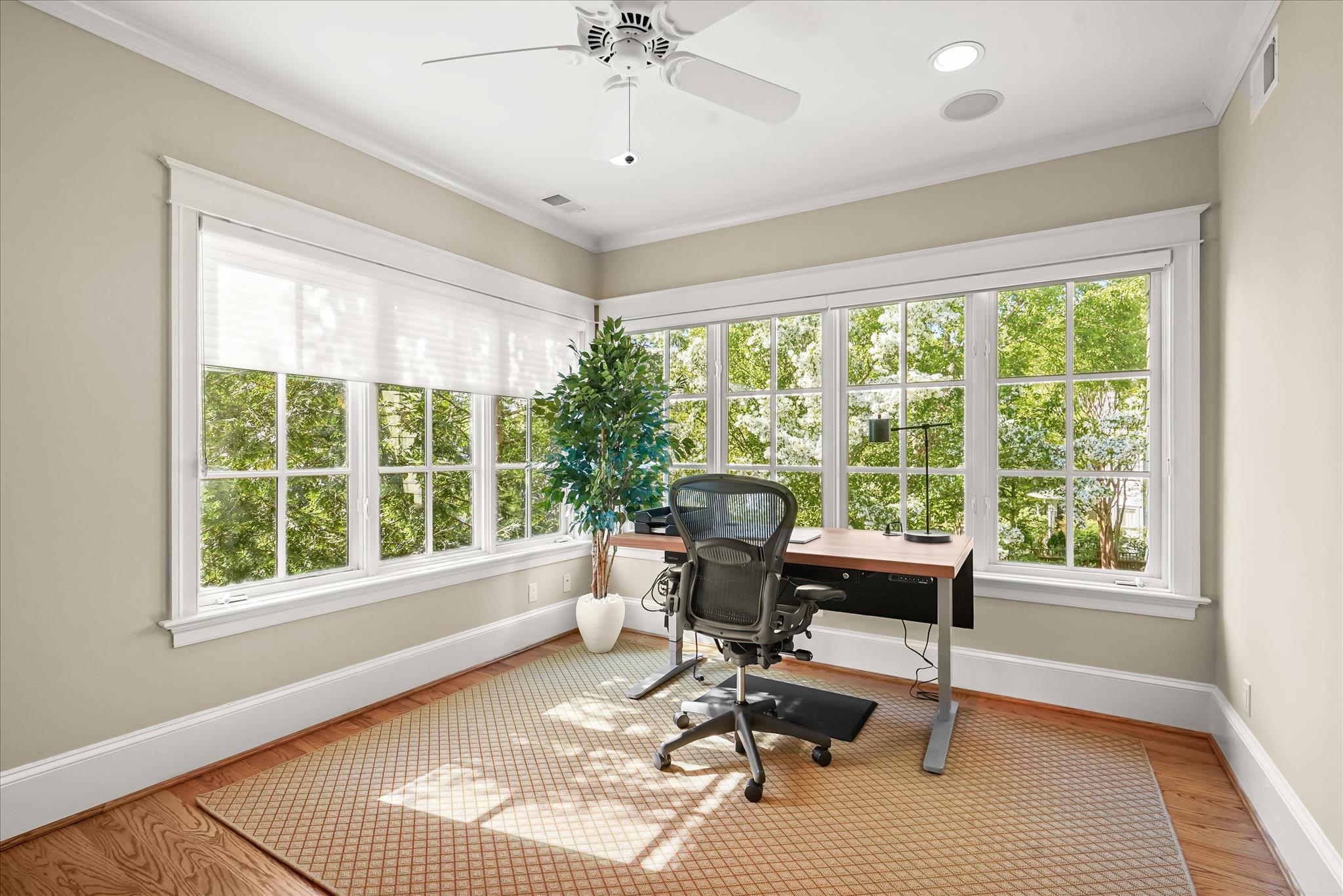  4423 Walsh Street, Chevy Chase, MD, 20815 - 物件實景