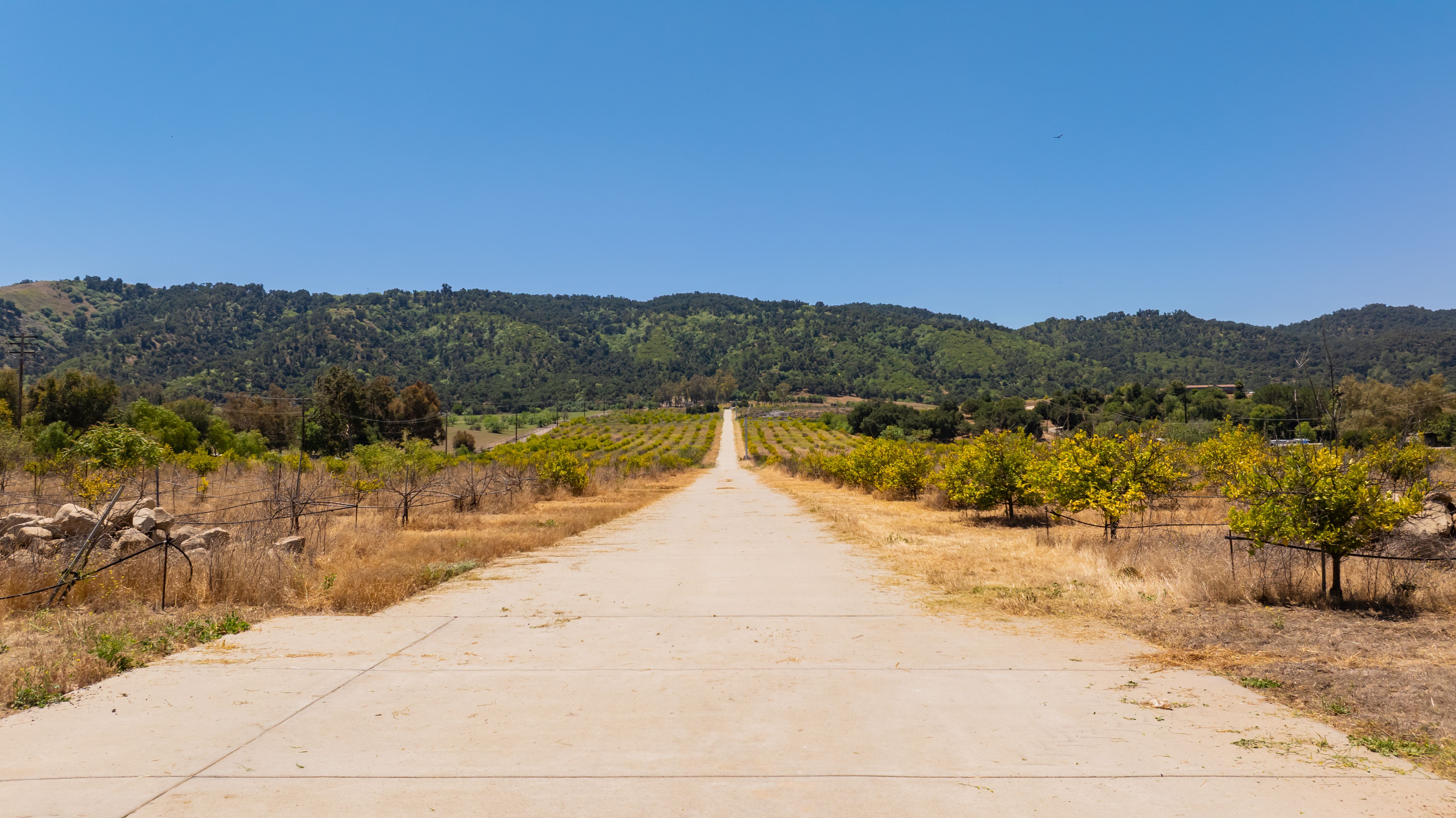  12400 Ojai Santa Paula Road, Ojai, CA 93023 - 物件實景