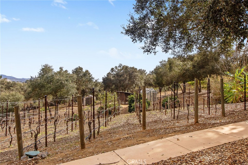 Fallbrook, California, 92028, United States, 4 Bedrooms Bedrooms, ,4 BathroomsBathrooms,Residential,For Sale,1792219