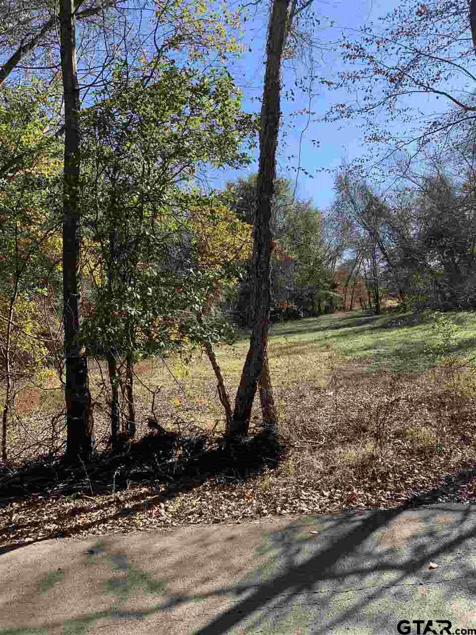 TBD CR 472 & I20, Lindale, Texas, 75771, United States, ,Land,For Sale,TBD CR 472 & I20,1673371