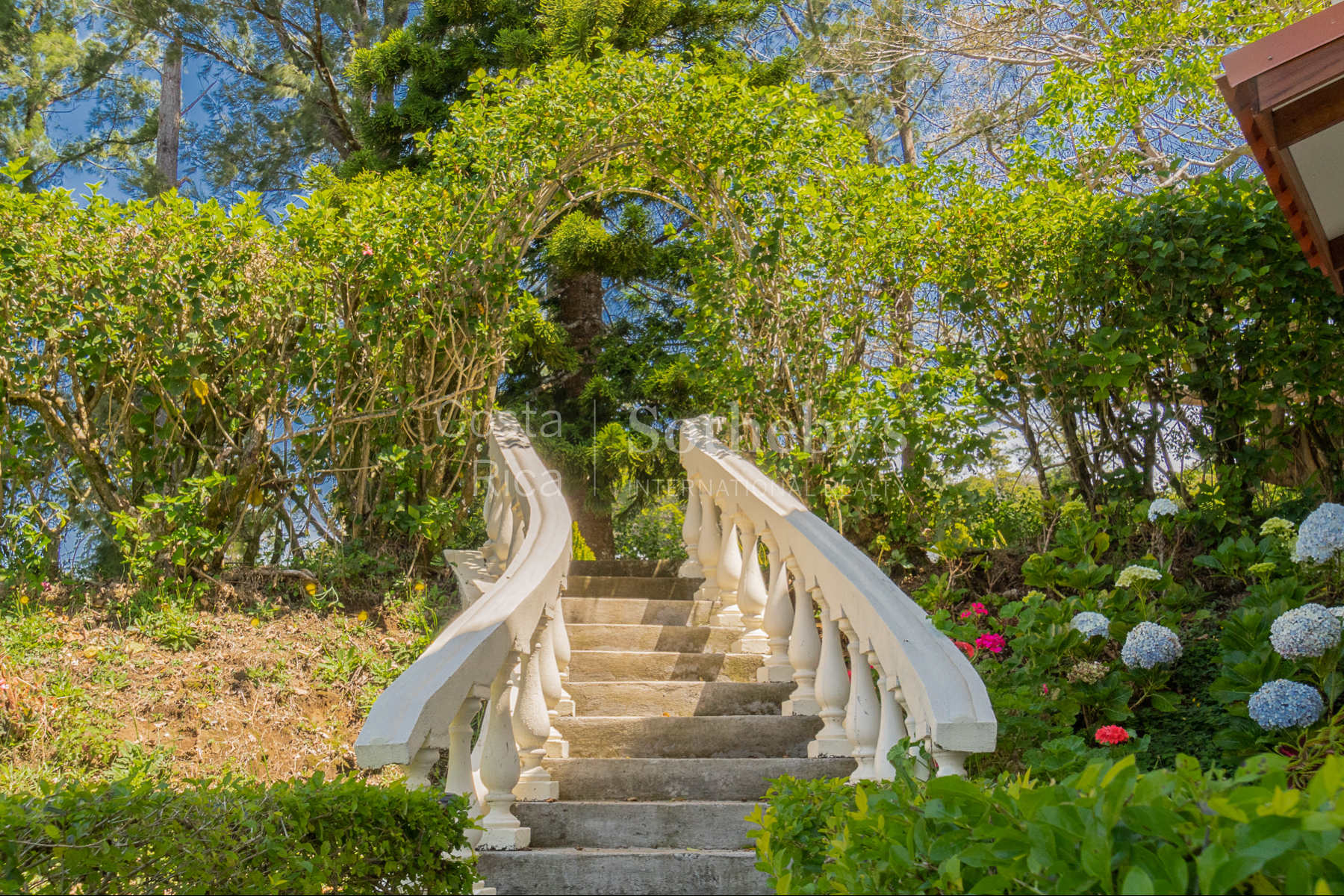  Wilderness Retreat in the Mountain - 物件實景