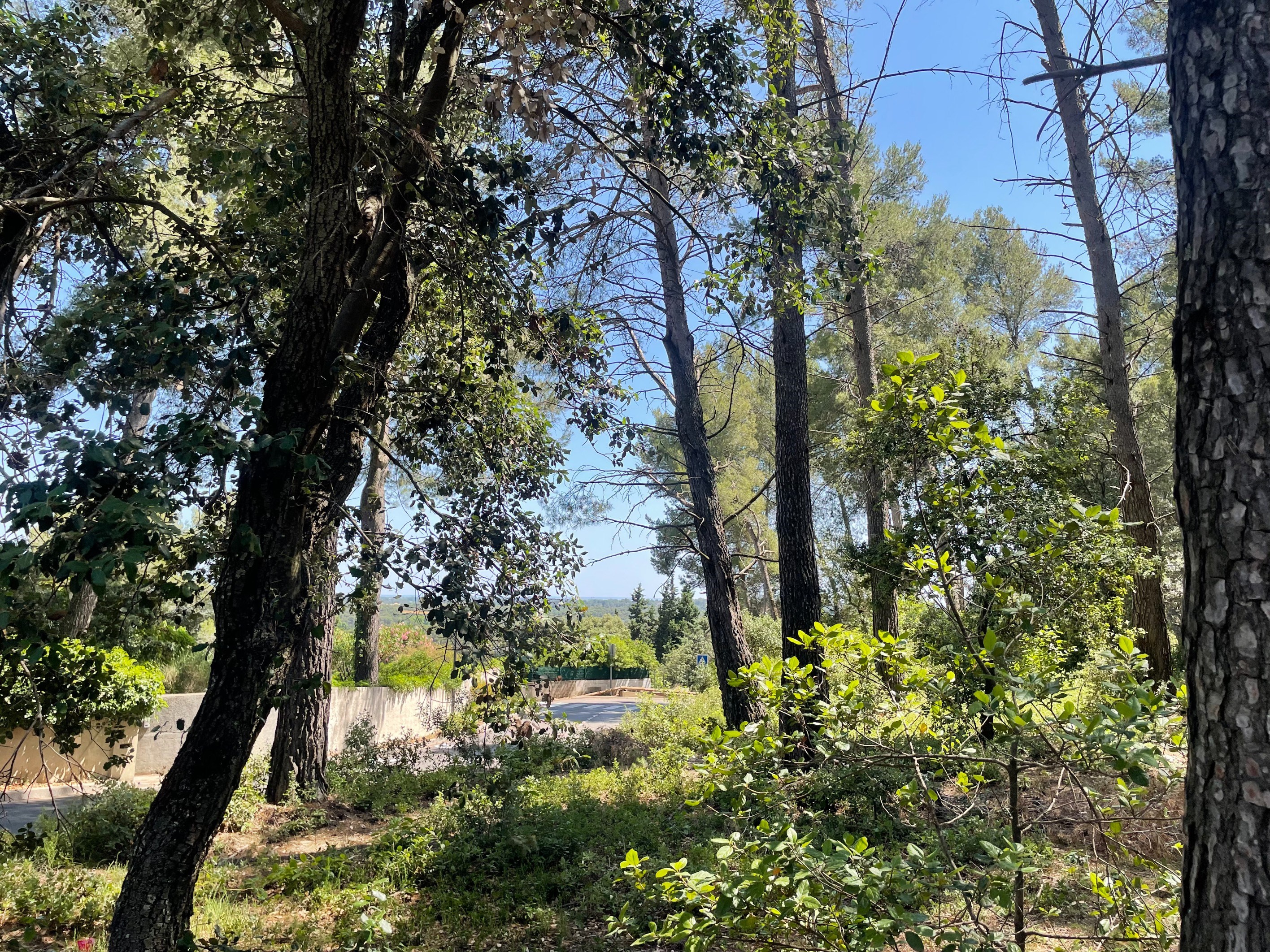  Belle vue – Permis accepté – Projet possible - 物件實景