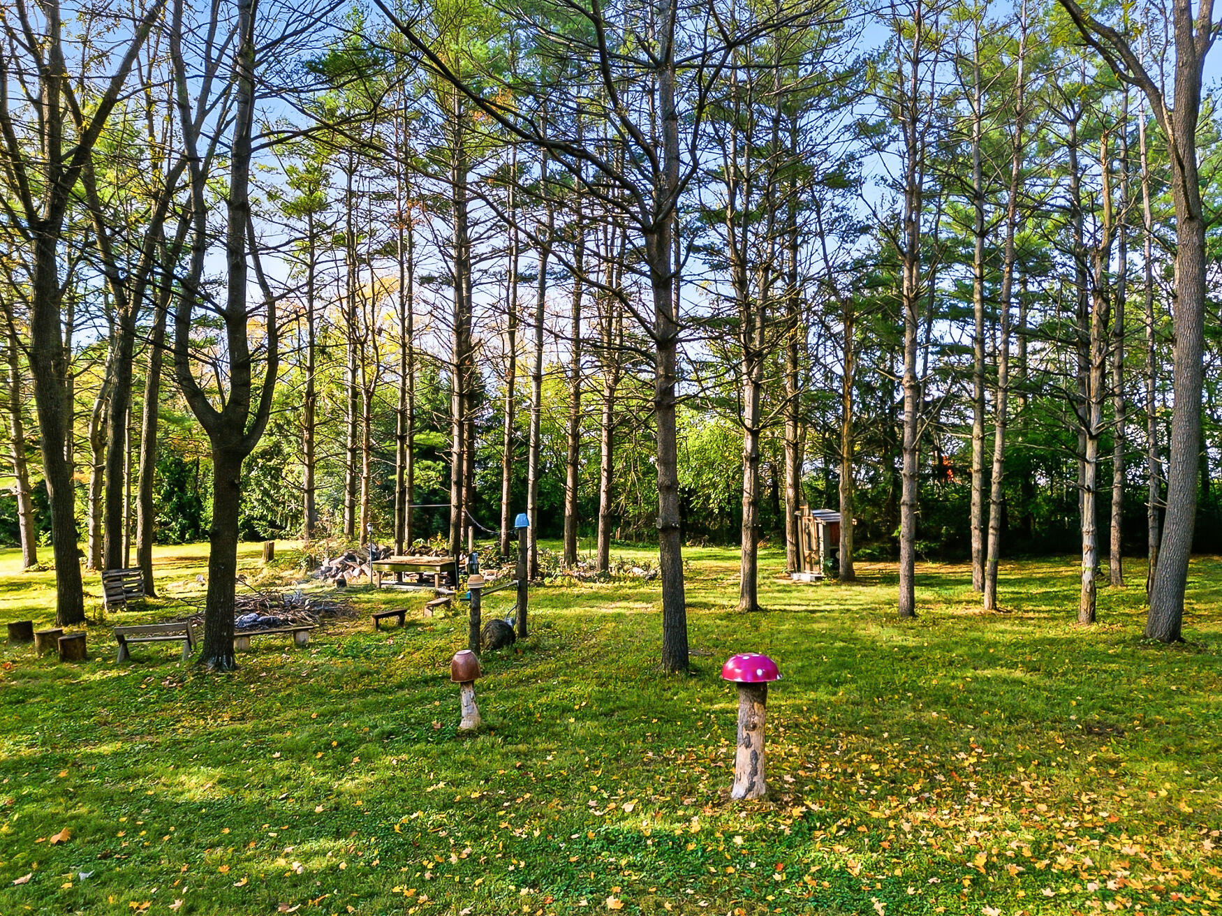 Jefferson, Wisconsin, 53549, United States, 4 Bedrooms Bedrooms, ,2 BathroomsBathrooms,Residential,For Sale,1973075