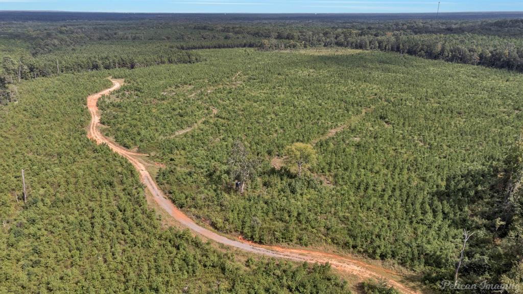 0 Highway 157 Highway, Haughton, Louisiana, 71037, United States, ,Land,For Sale,0 Highway 157 Highway,1646378