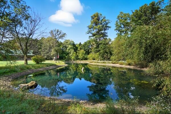 Woodstock, Ohio, 43084, United States, 3 Bedrooms Bedrooms, ,3 BathroomsBathrooms,Residential,For Sale,1988925